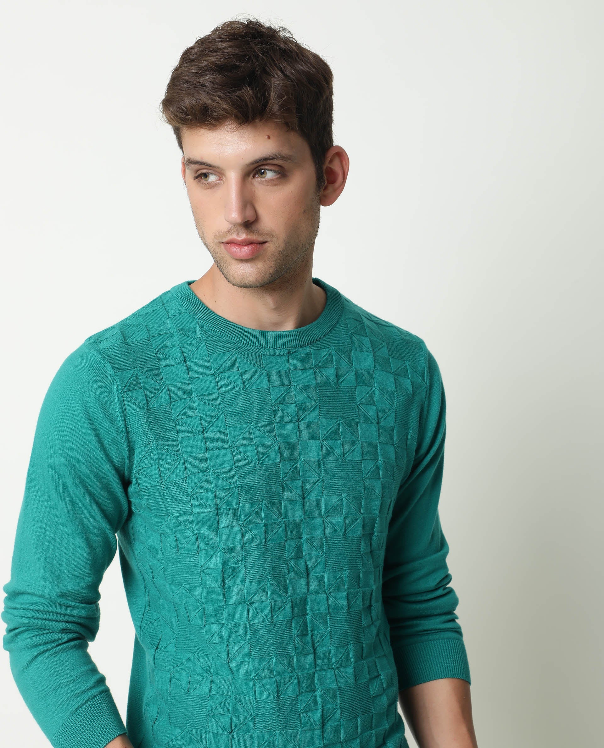 Rare Rabbit Russ Primary Green Pullover Cotton Fabric Full Sleeve Round Neck Slim Fit