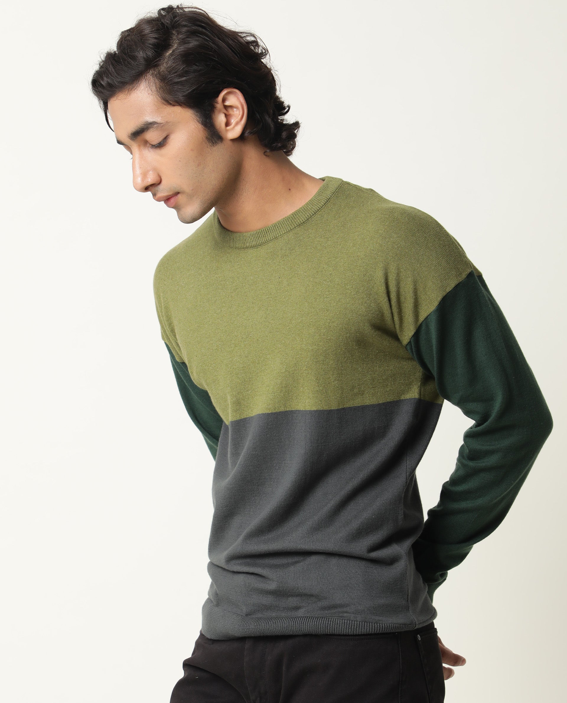 Rare Rabbit Tanko Primary Green Sweater Cotton Fabric Full Sleeve Round Neck Slim Fit