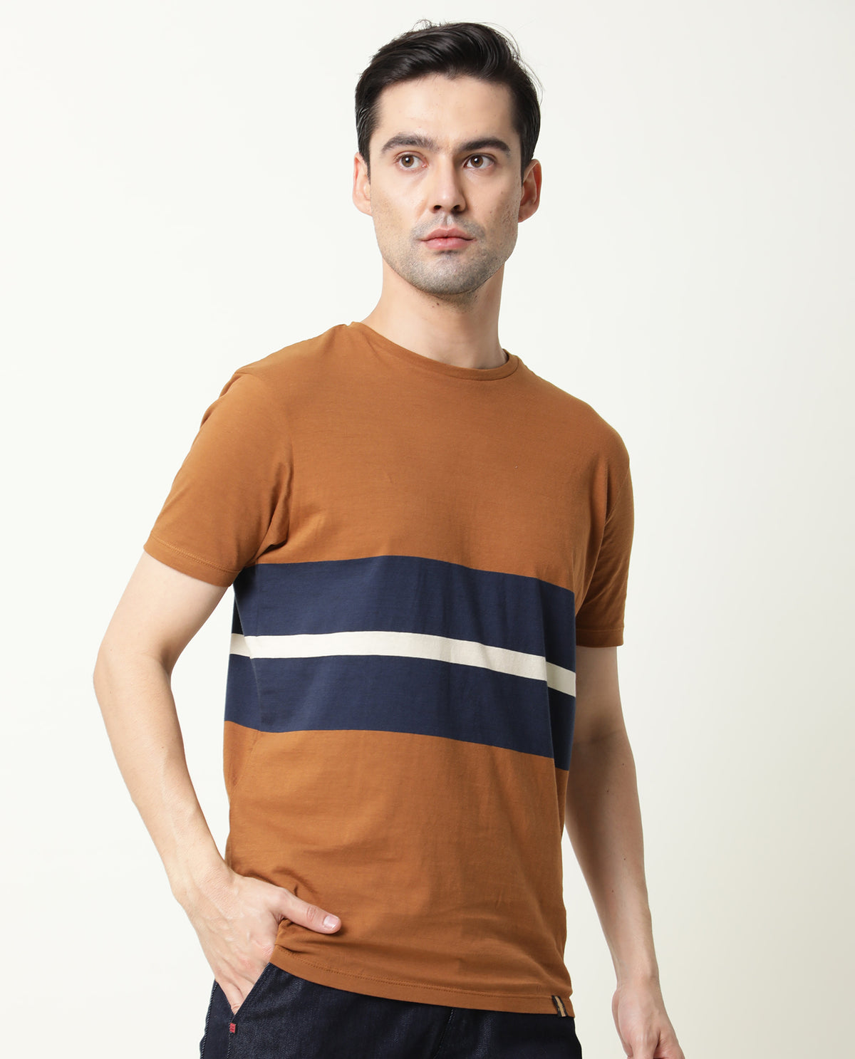 Rare Rabbit Pire Brown Crew Neck Striped Half Sleeves Regular Fit T-Shirt
