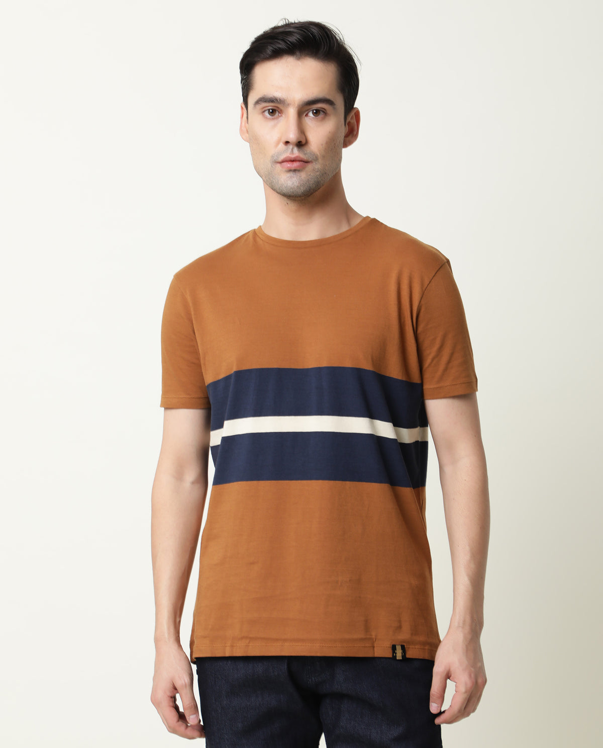 Rare Rabbit Pire Brown Crew Neck Striped Half Sleeves Regular Fit T-Shirt