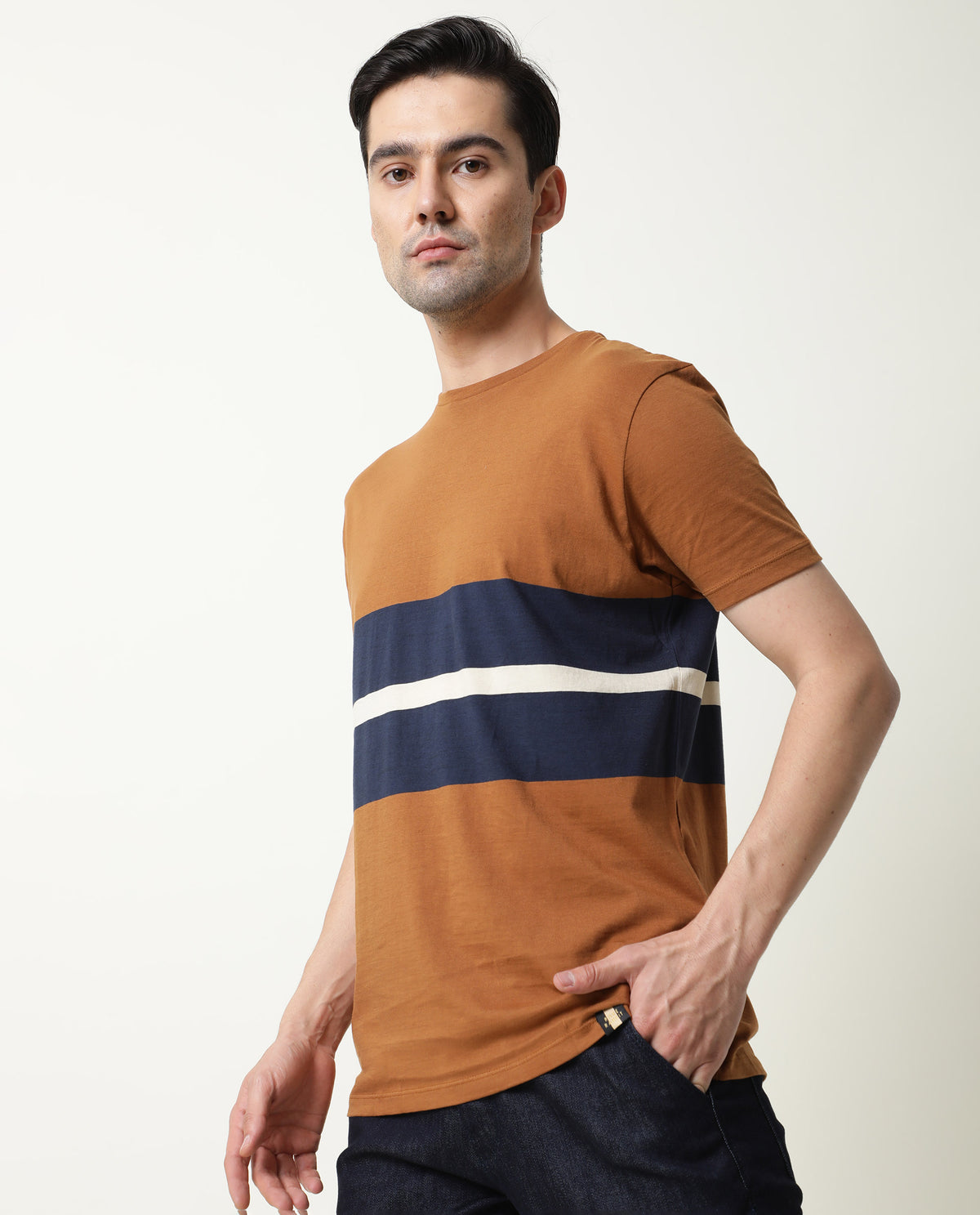Rare Rabbit Pire Brown Crew Neck Striped Half Sleeves Regular Fit T-Shirt