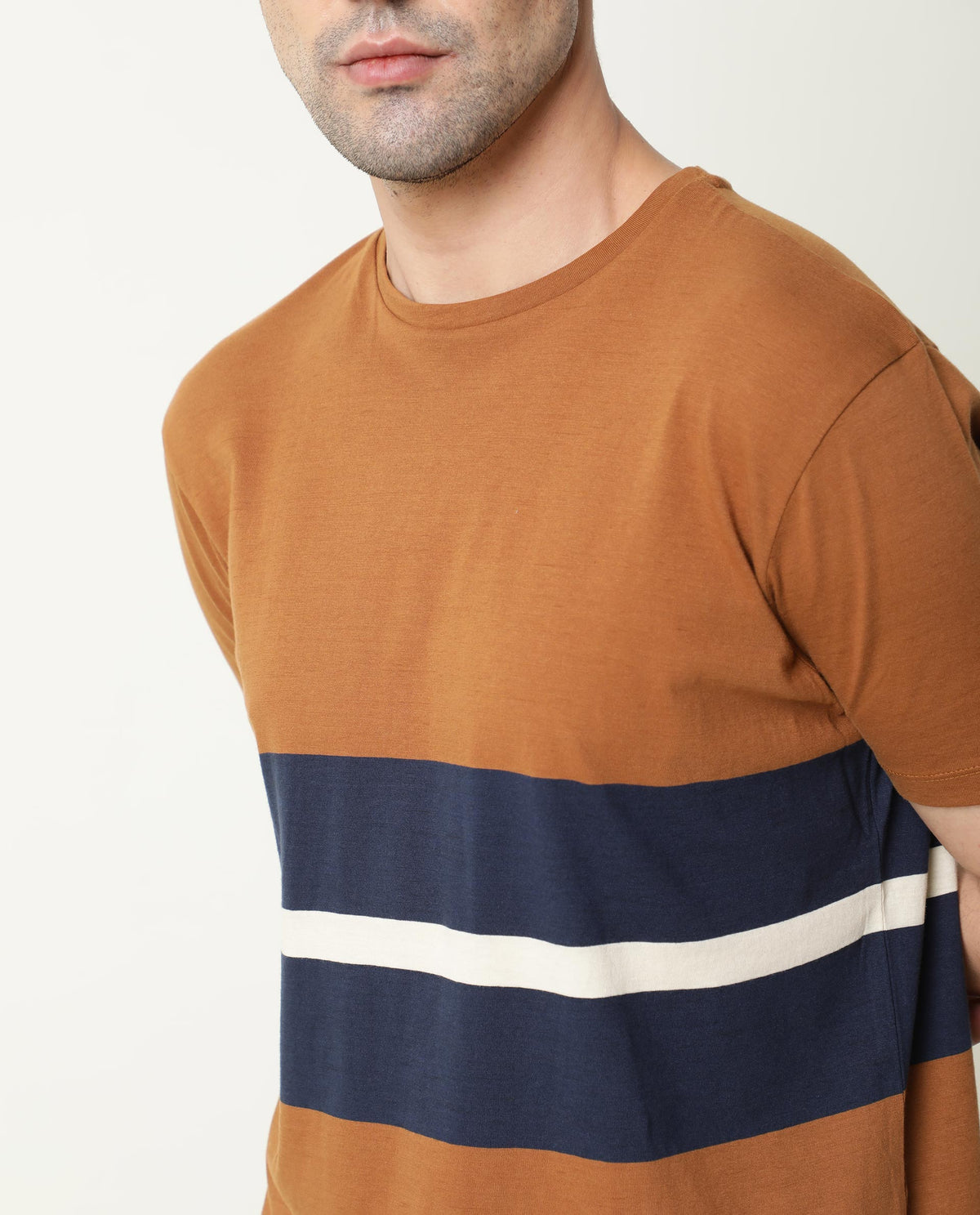 Rare Rabbit Pire Brown Crew Neck Striped Half Sleeves Regular Fit T-Shirt