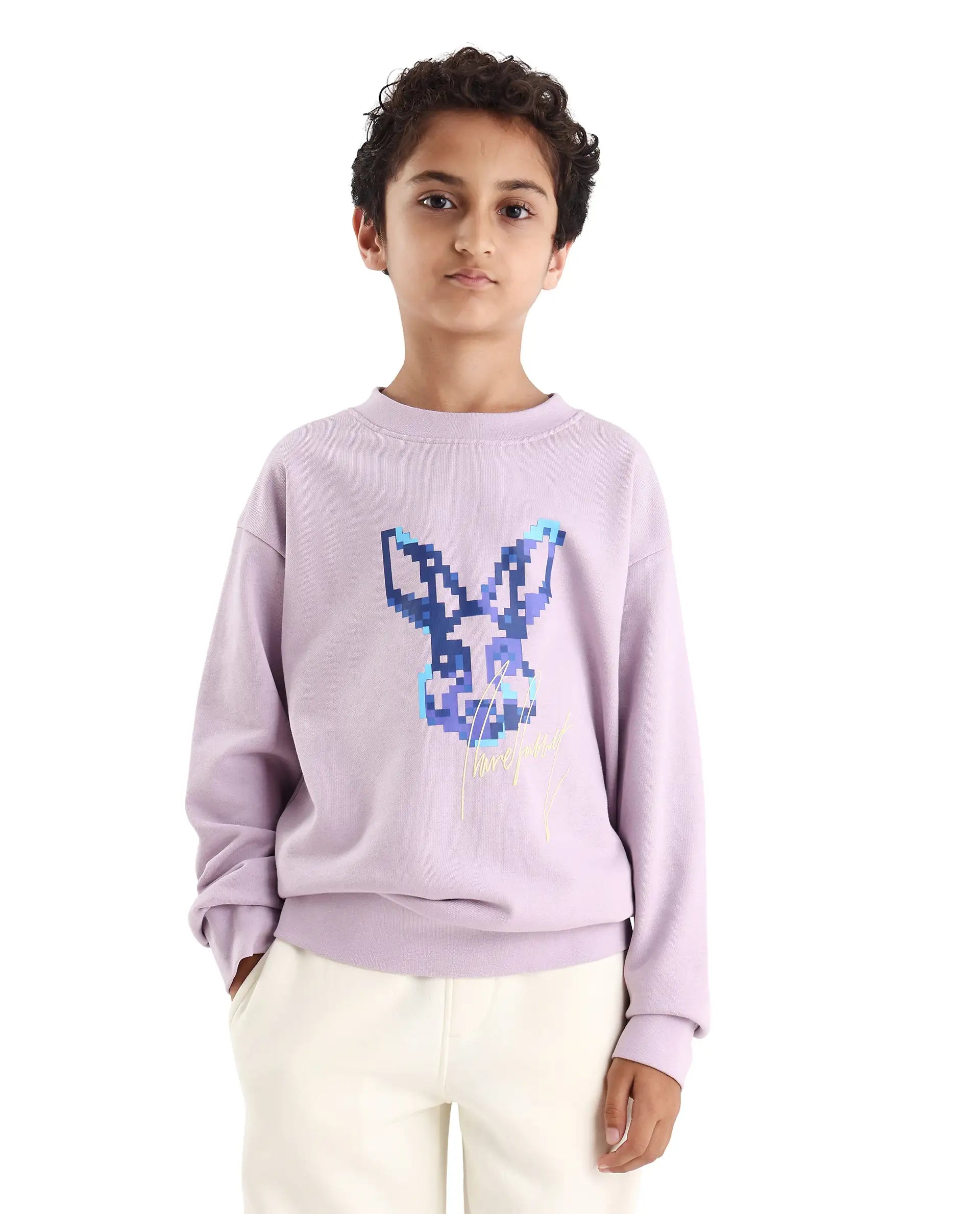 Rare Ones Kids Iver Pastel Purple Cotton Blend Pull On Crew Neck Full Sleeves Fit Sweatshirt