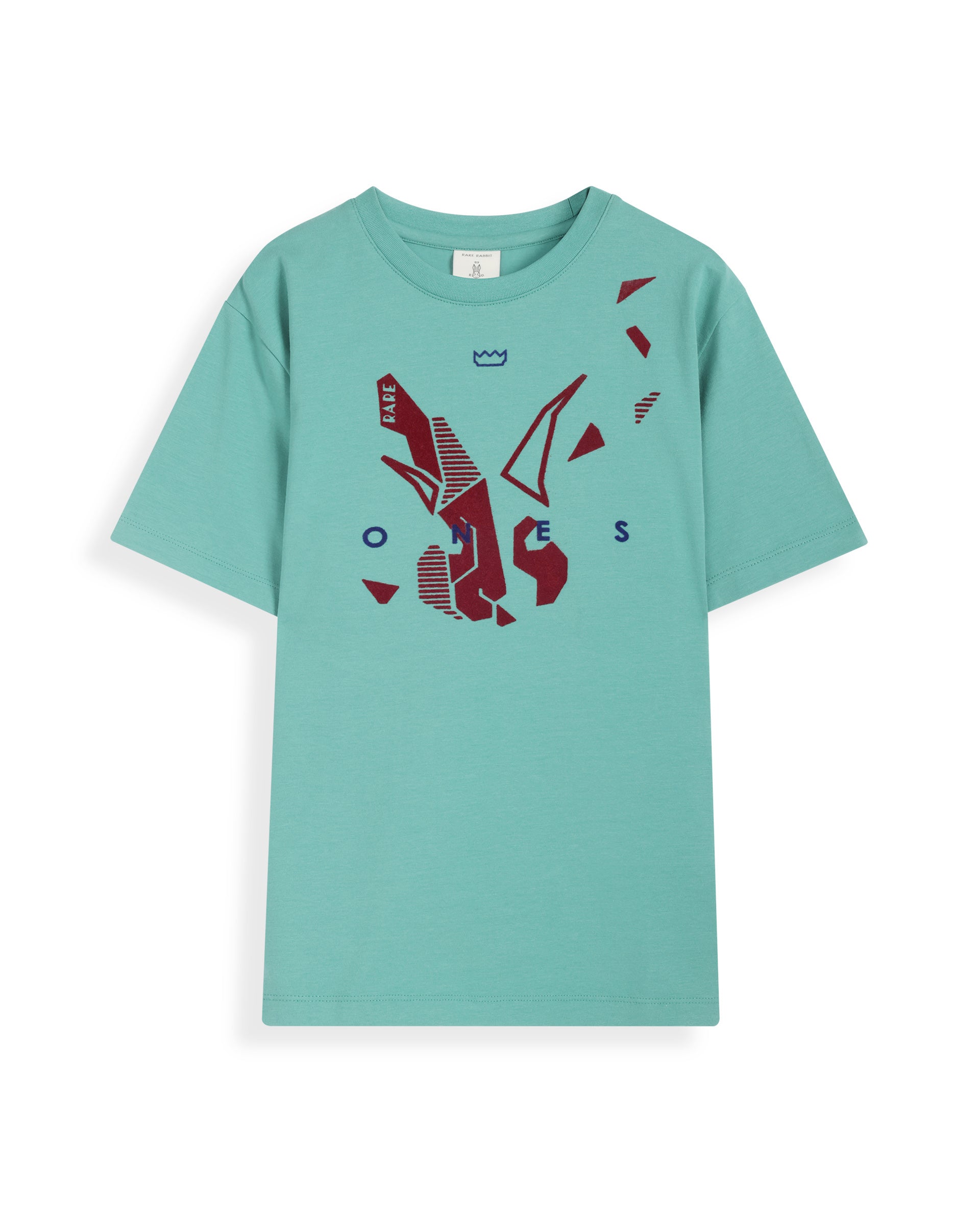 Rare Ones Kids Div Green Cotton Half Sleeves Crew Neck Regular Fit Graphic Print T-Shirt