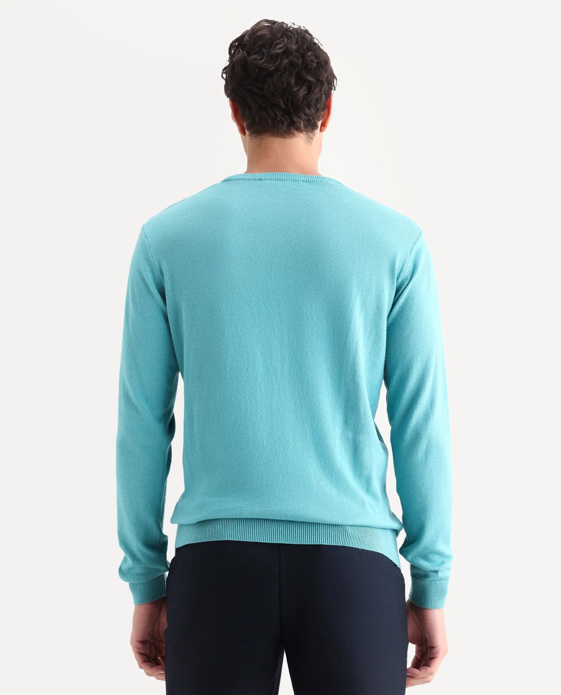 Rare Rabbit Men's Alba Blue Cotton Jacquard Regular Fit Full Sleeve Crew Neck Sweater