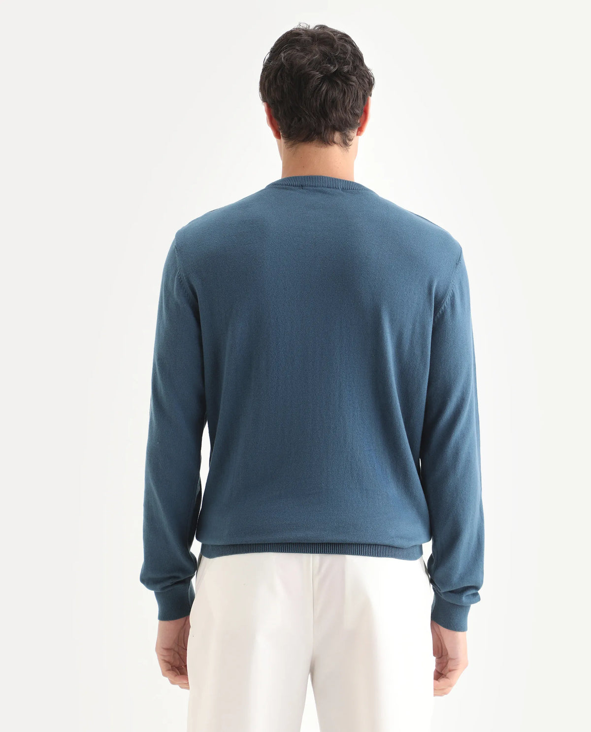 Rare Rabbit Men's Teedo Navy Jacquard Slim Fit Full Sleeve Crew Neck Sweater