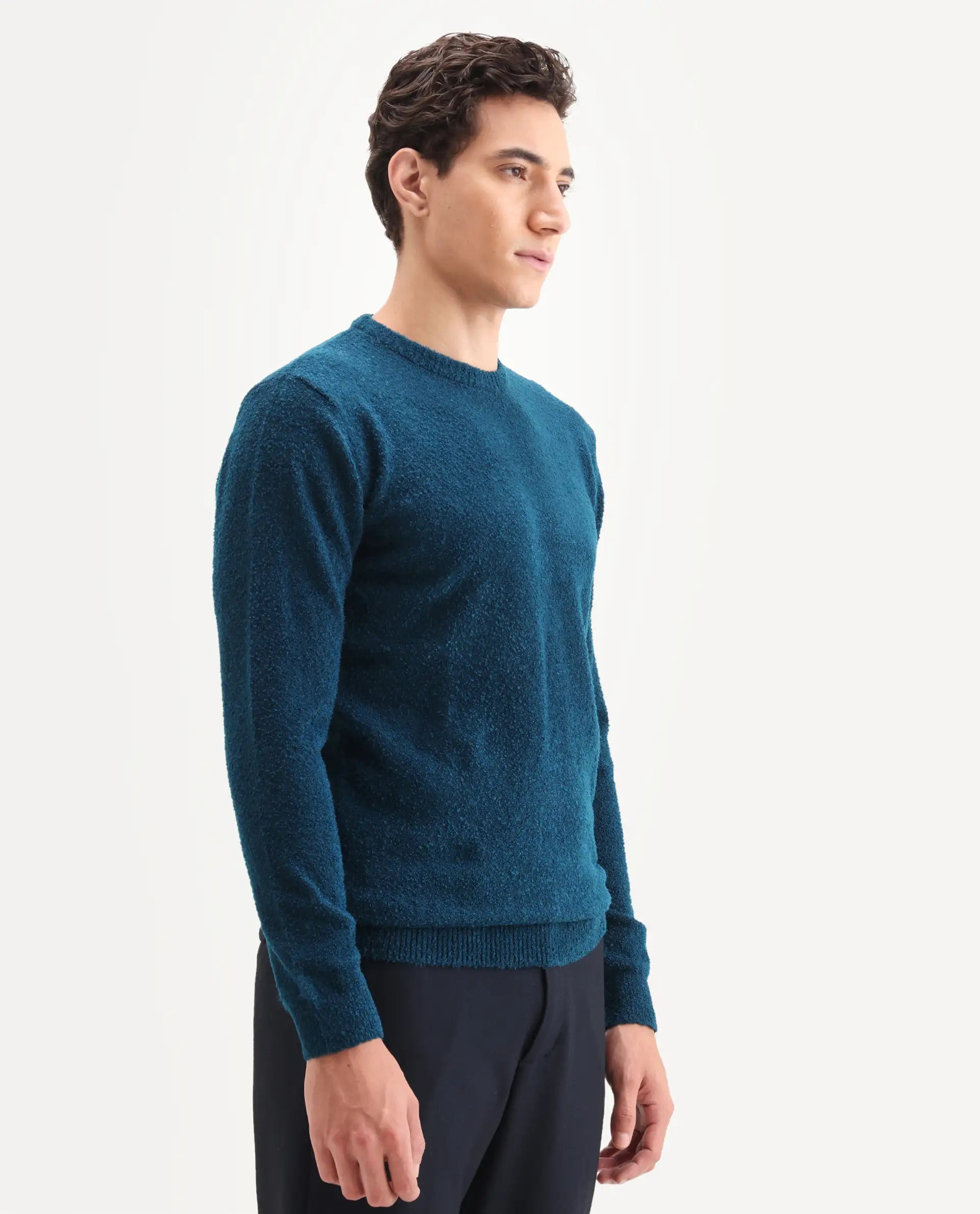 Rare Rabbit Men's Bocle Petrol Polyester Textured Relaxed Fit Full Sleeve Crew Neck Sweater