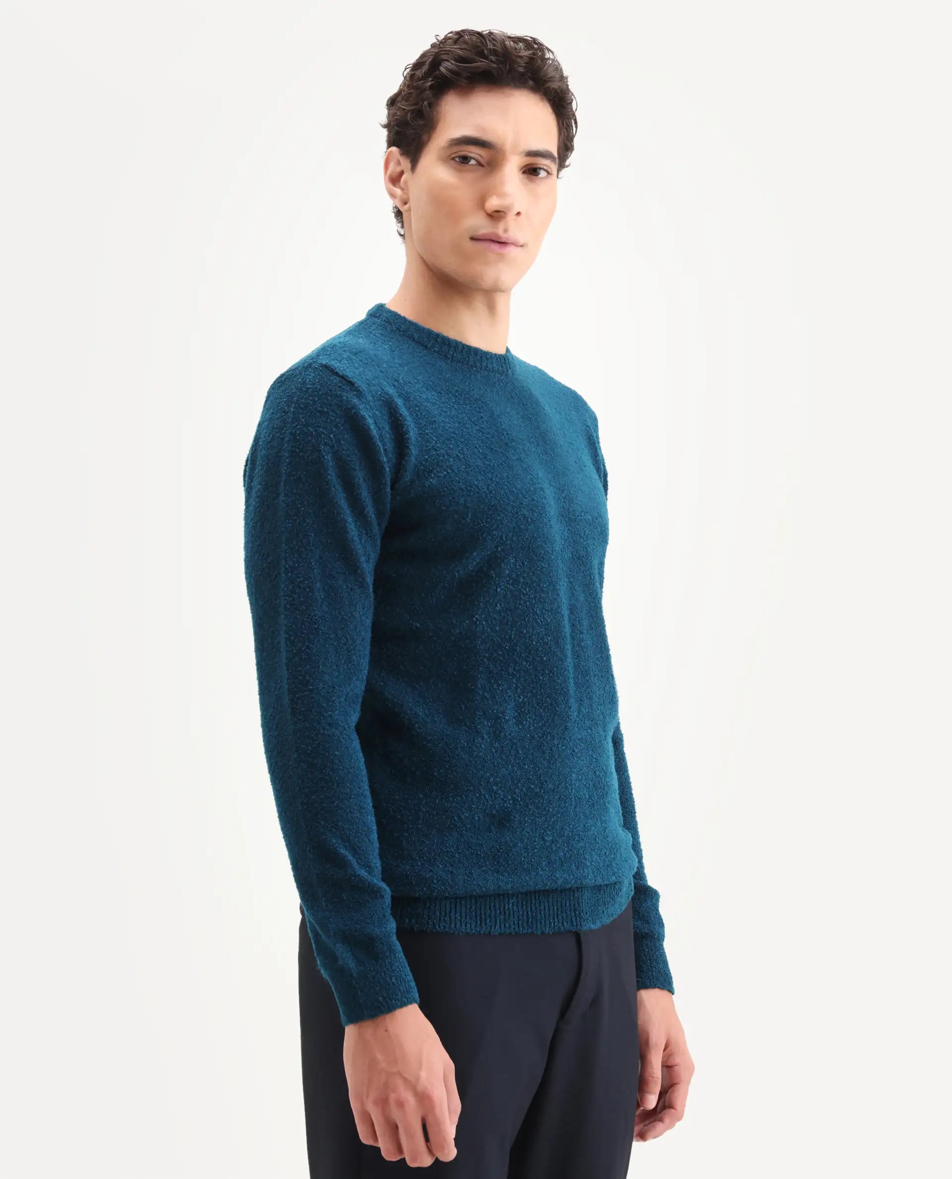 Rare Rabbit Men's Bocle Petrol Polyester Textured Relaxed Fit Full Sleeve Crew Neck Sweater
