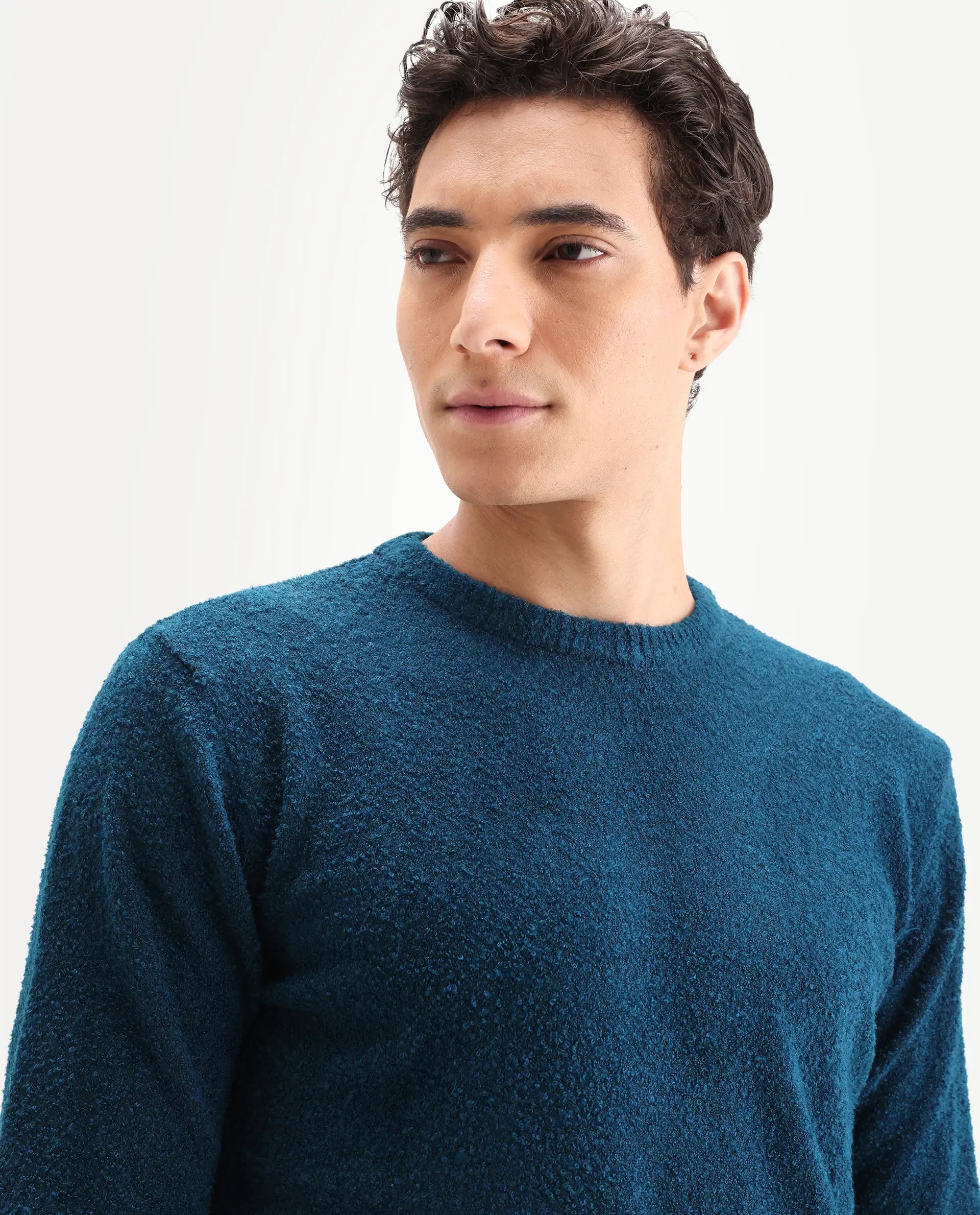 Rare Rabbit Men's Bocle Petrol Polyester Textured Relaxed Fit Full Sleeve Crew Neck Sweater