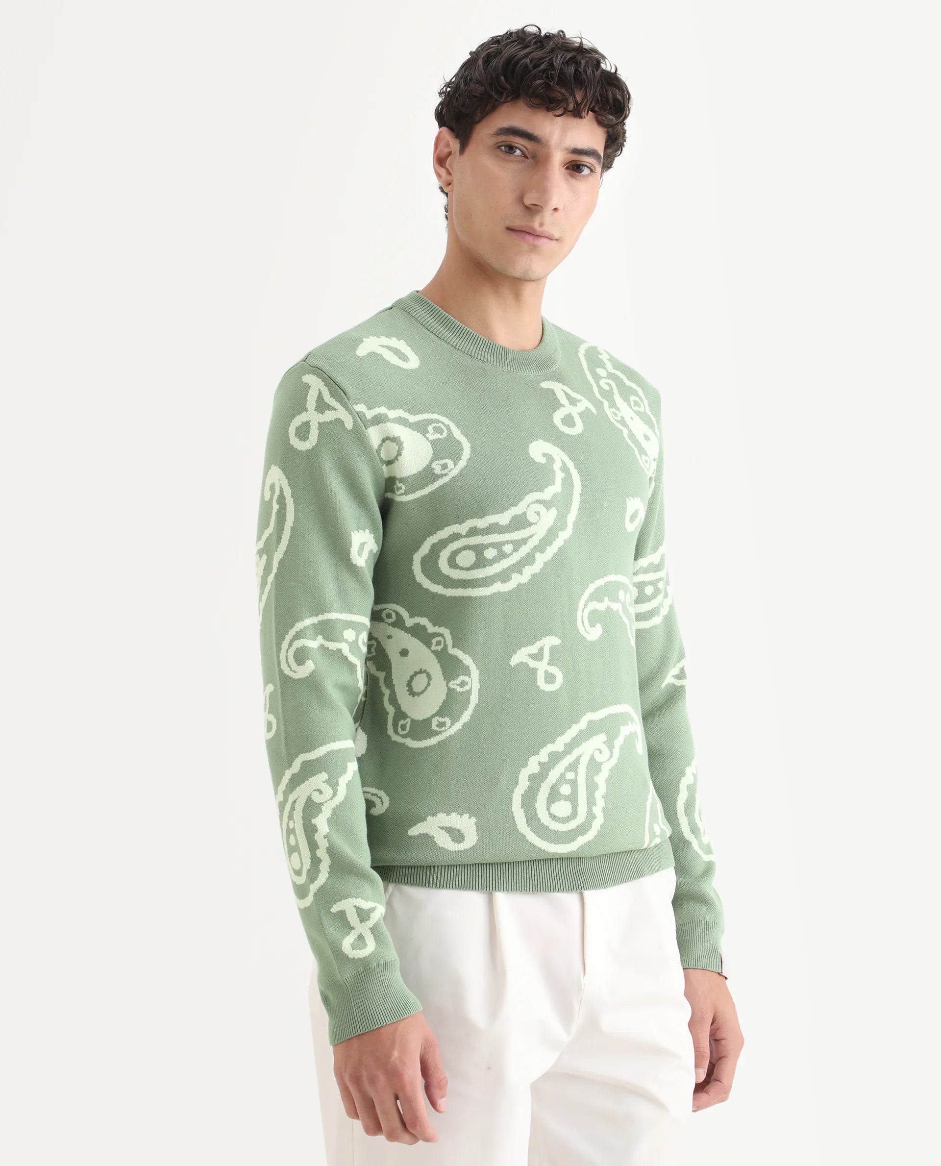 Rare Rabbit Men's Tori Light Green Viscose Jacquard Relaxed Fit Full Sleeve Crew Neck Sweater
