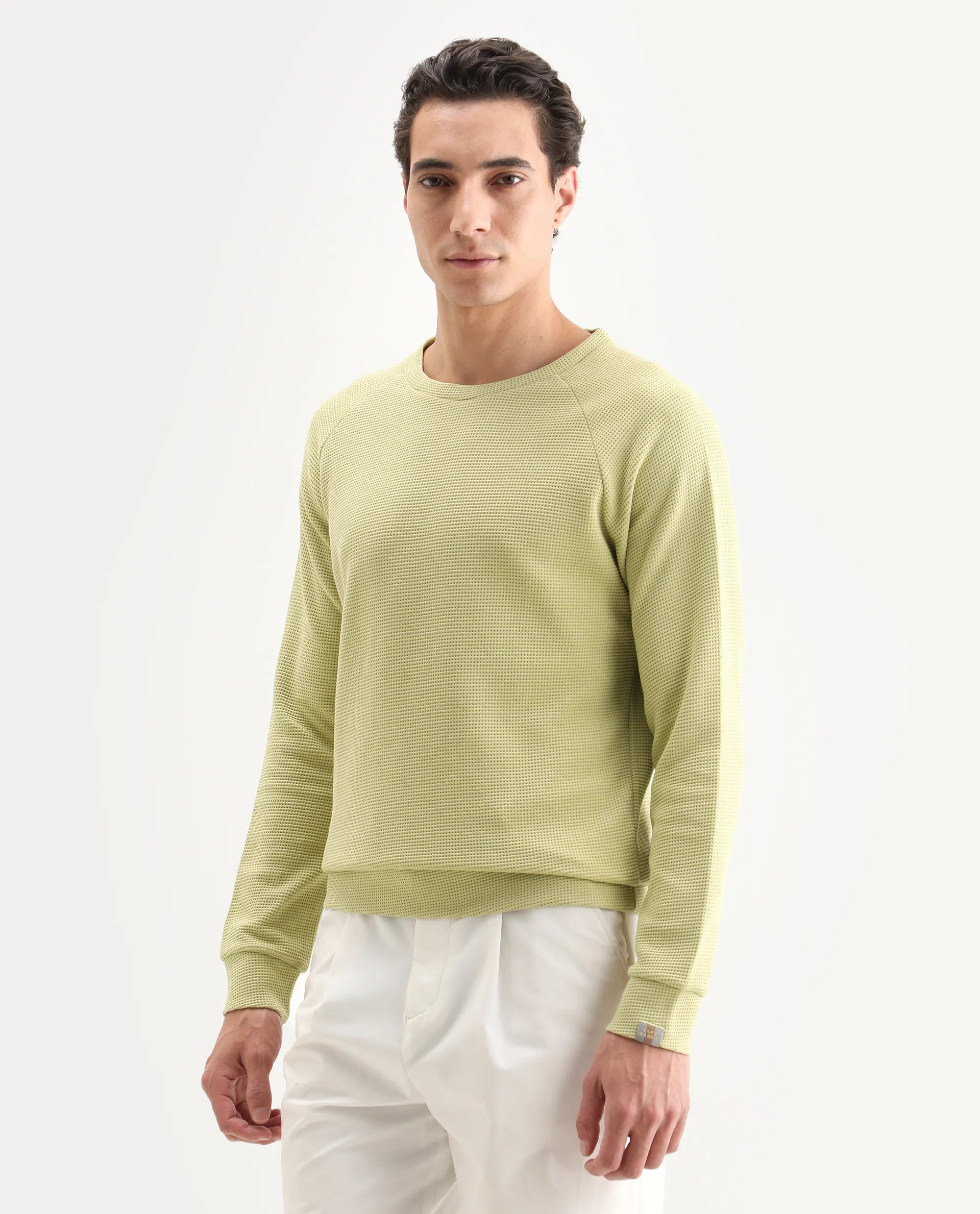 Rare Rabbit Men's Sven Pastel Green Cotton Plain Regular Fit Full Sleeve Crew Neck Sweatshirt