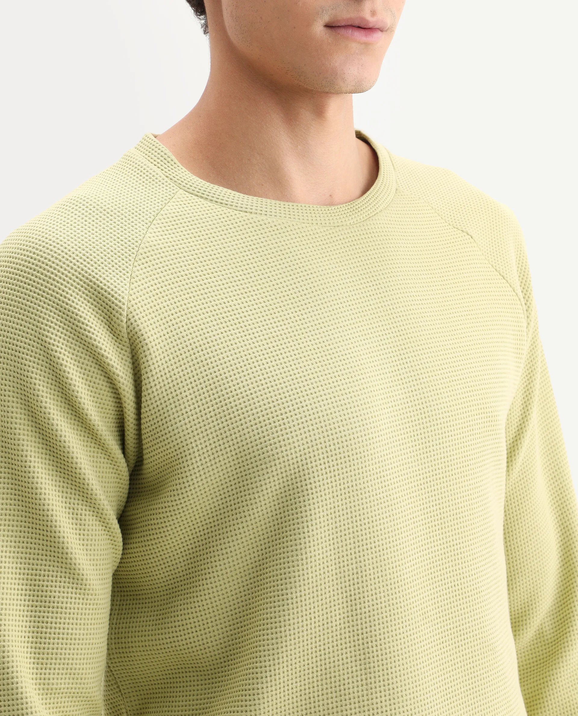 Rare Rabbit Men's Sven Pastel Green Cotton Plain Regular Fit Full Sleeve Crew Neck Sweatshirt