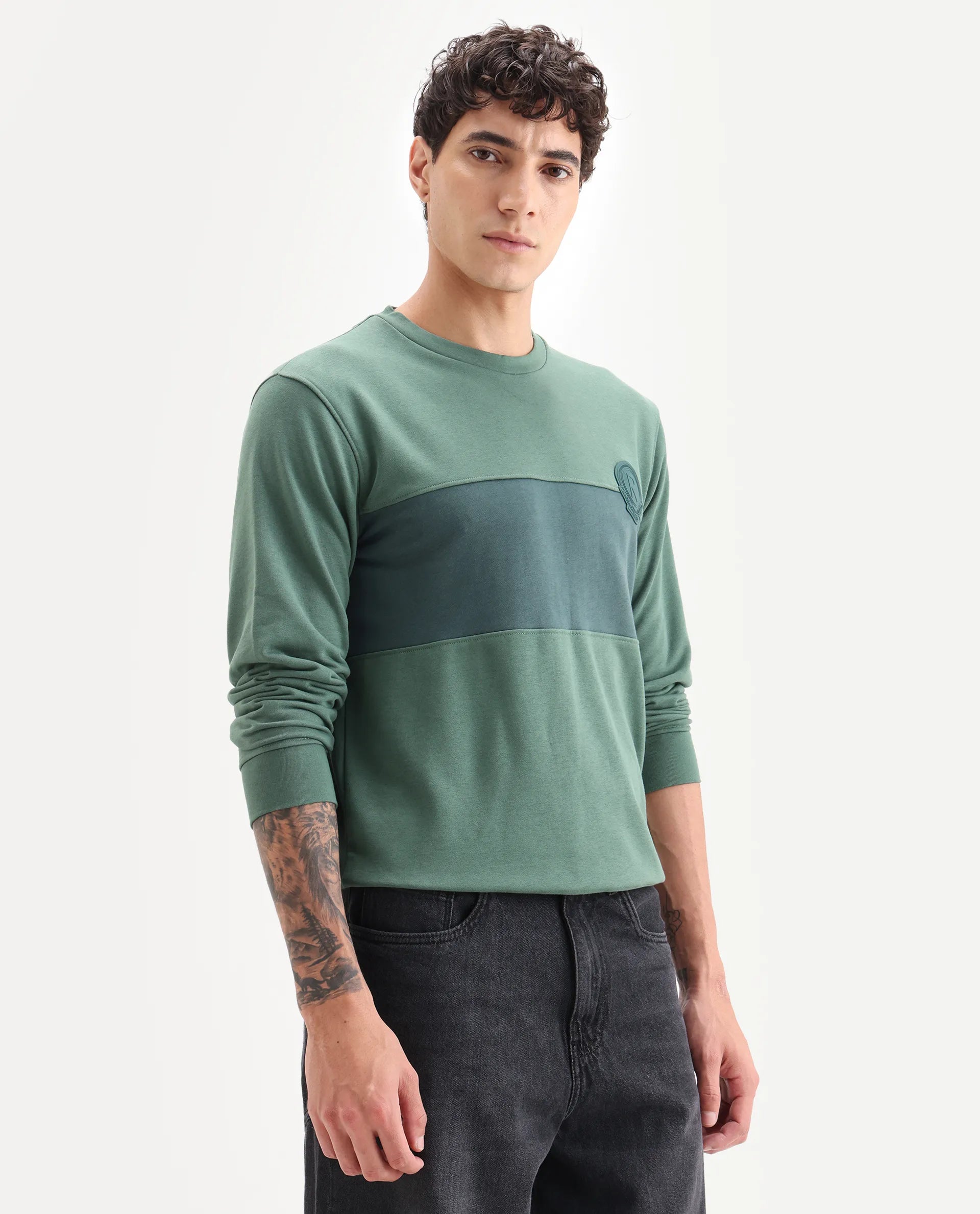 Rare Rabbit Men's Privett Green Cotton Color Block Relaxed Fit Full Sleeve Crew Neck Sweatshirt