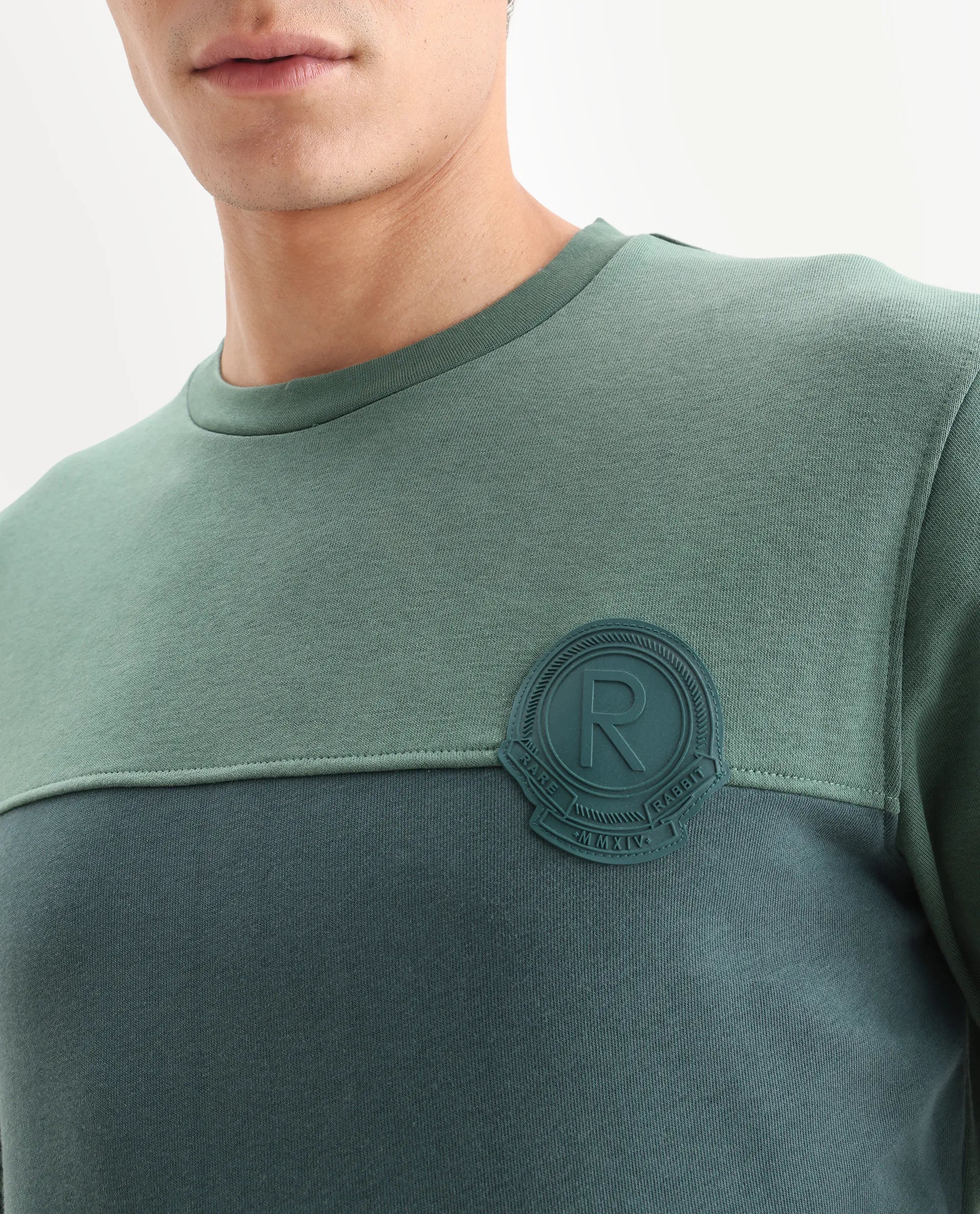 Rare Rabbit Men's Privett Green Cotton Color Block Relaxed Fit Full Sleeve Crew Neck Sweatshirt