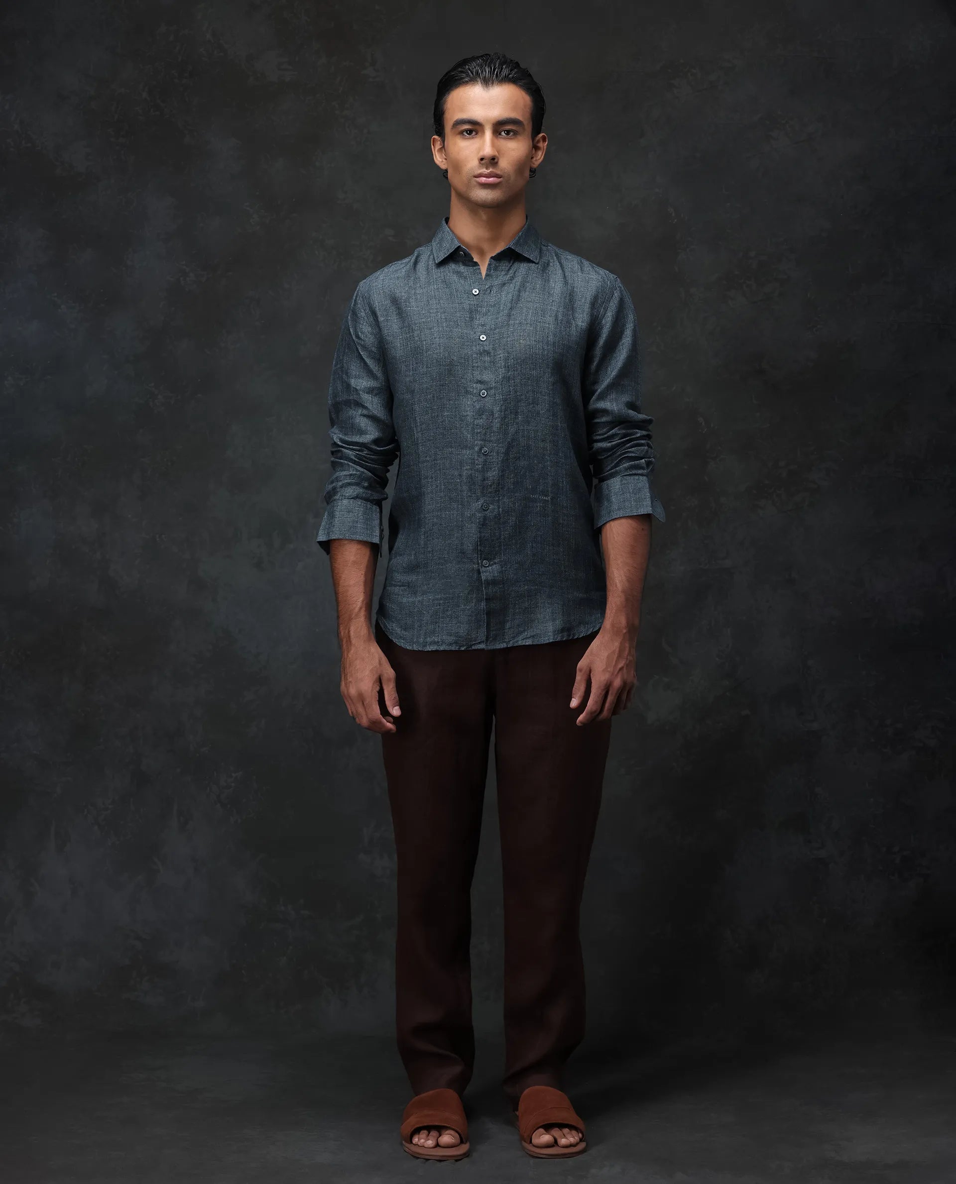 Rare Rabbit Men's Borium Green 100% Linen Plain Regular Fit Full Sleeve Collared Shirt