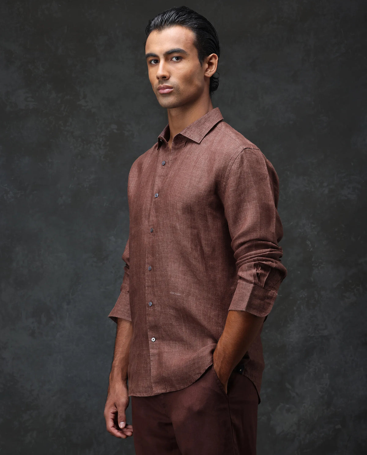 Rare Rabbit Men's Borium Dark Brown 100% Linen Plain Regular Fit Full Sleeve Spread Collar Shirt