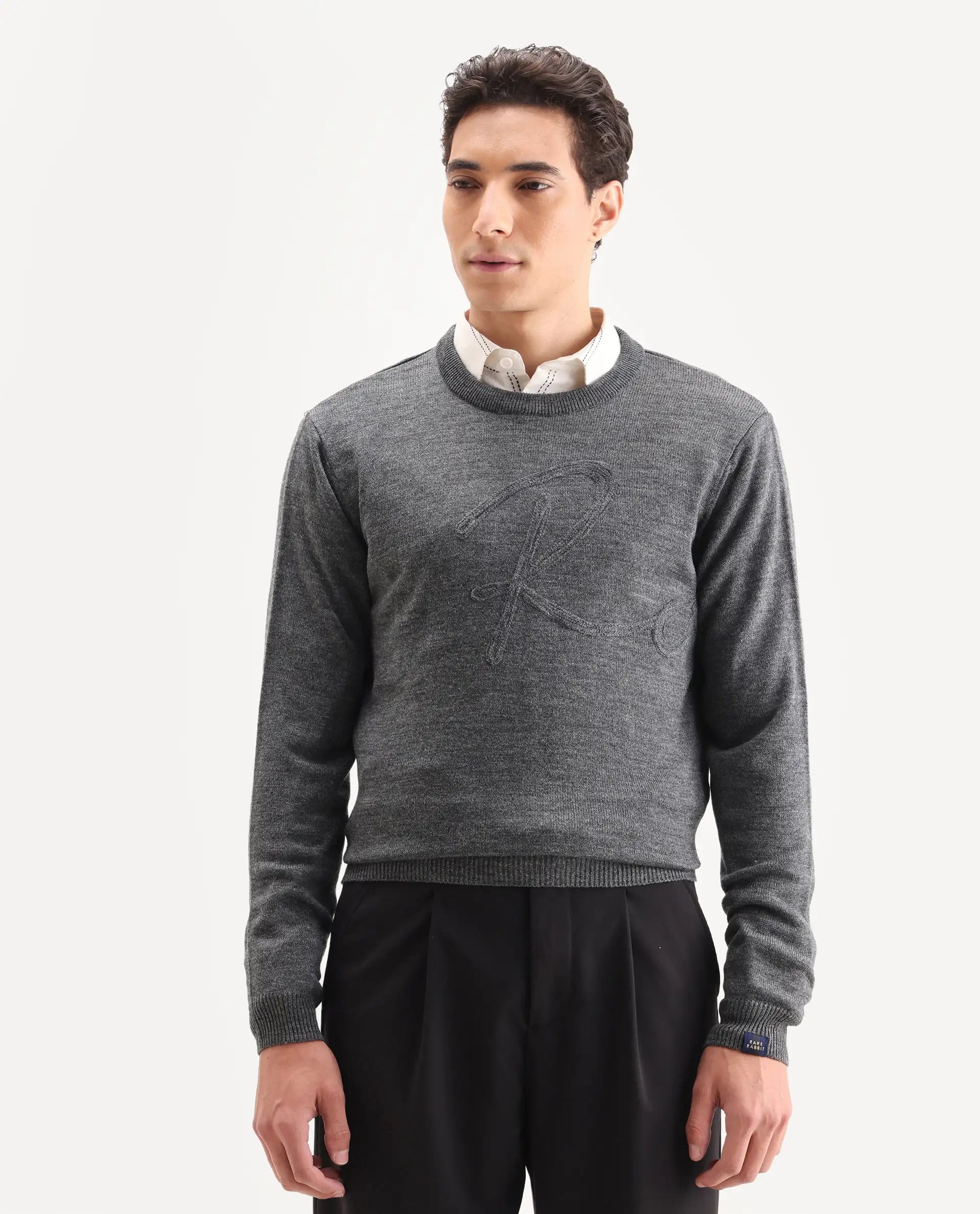 Rare Rabbit Men's Saturno Dusky Grey Acrylic Embroidered Regular Fit Full Sleeve Crew Neck Sweater