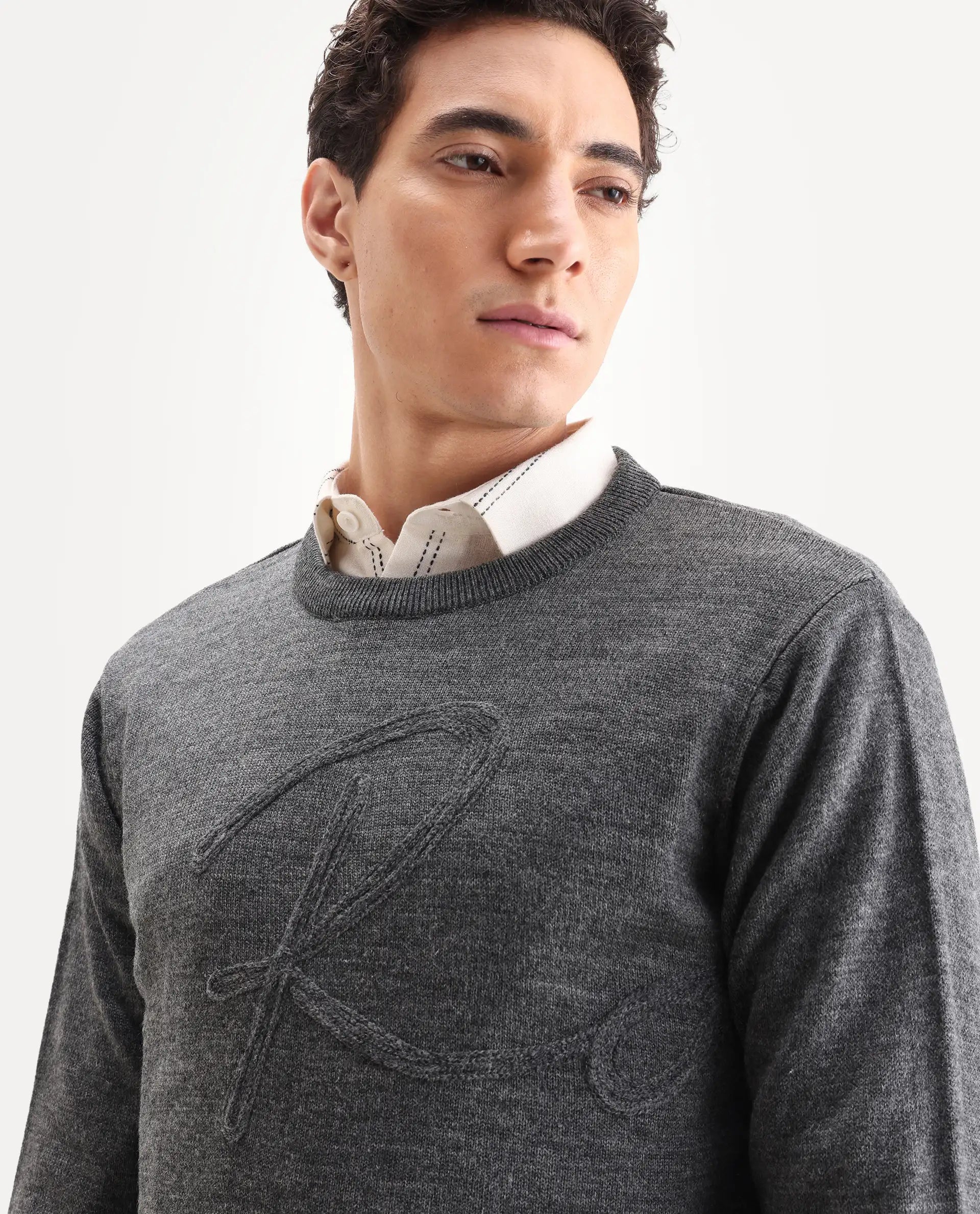 Rare Rabbit Men's Saturno Dusky Grey Acrylic Embroidered Regular Fit Full Sleeve Crew Neck Sweater