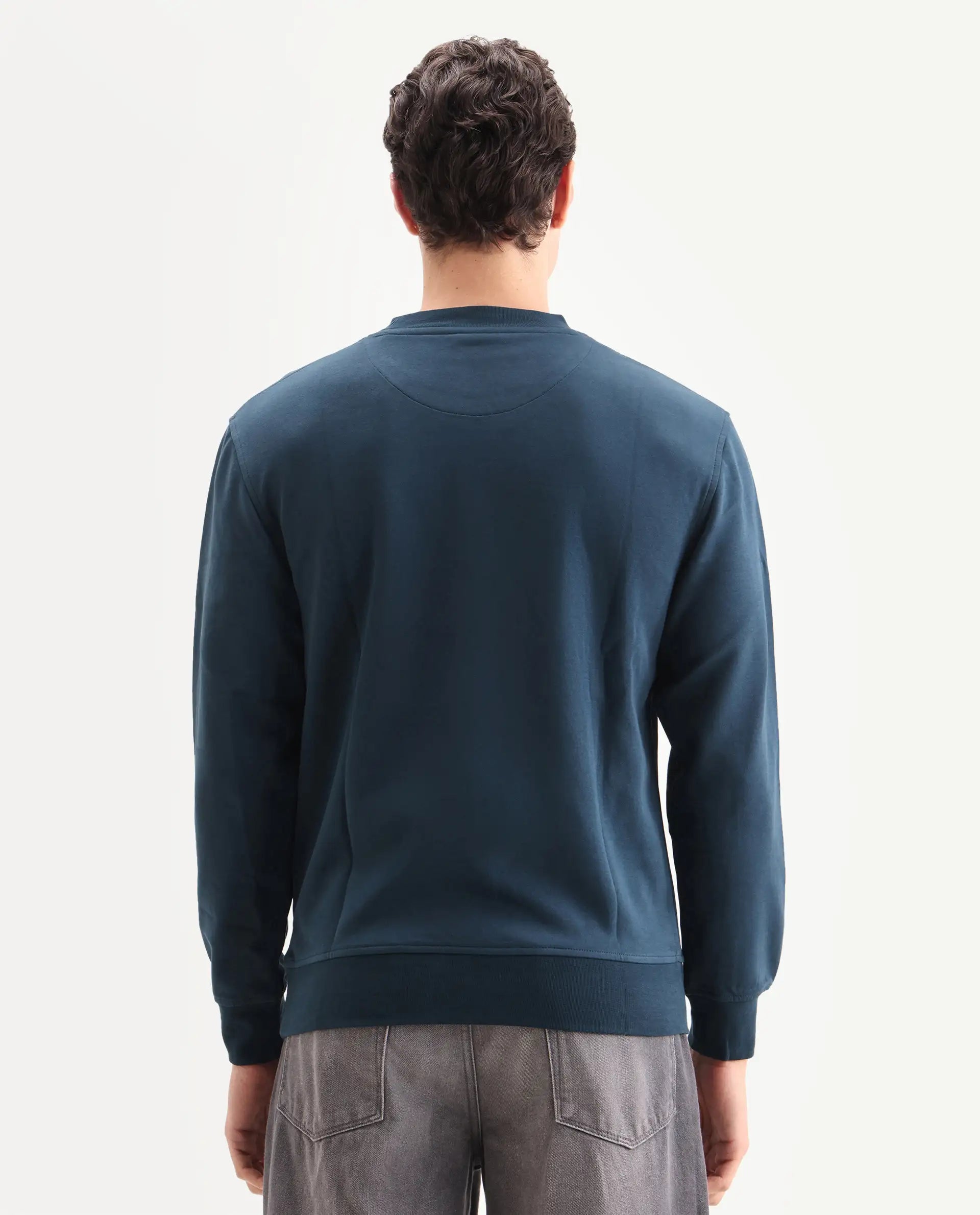 Rare Rabbit Men's Barak Teal Cotton Graphic Print Regular Fit Full Sleeve Crew Neck Sweatshirt