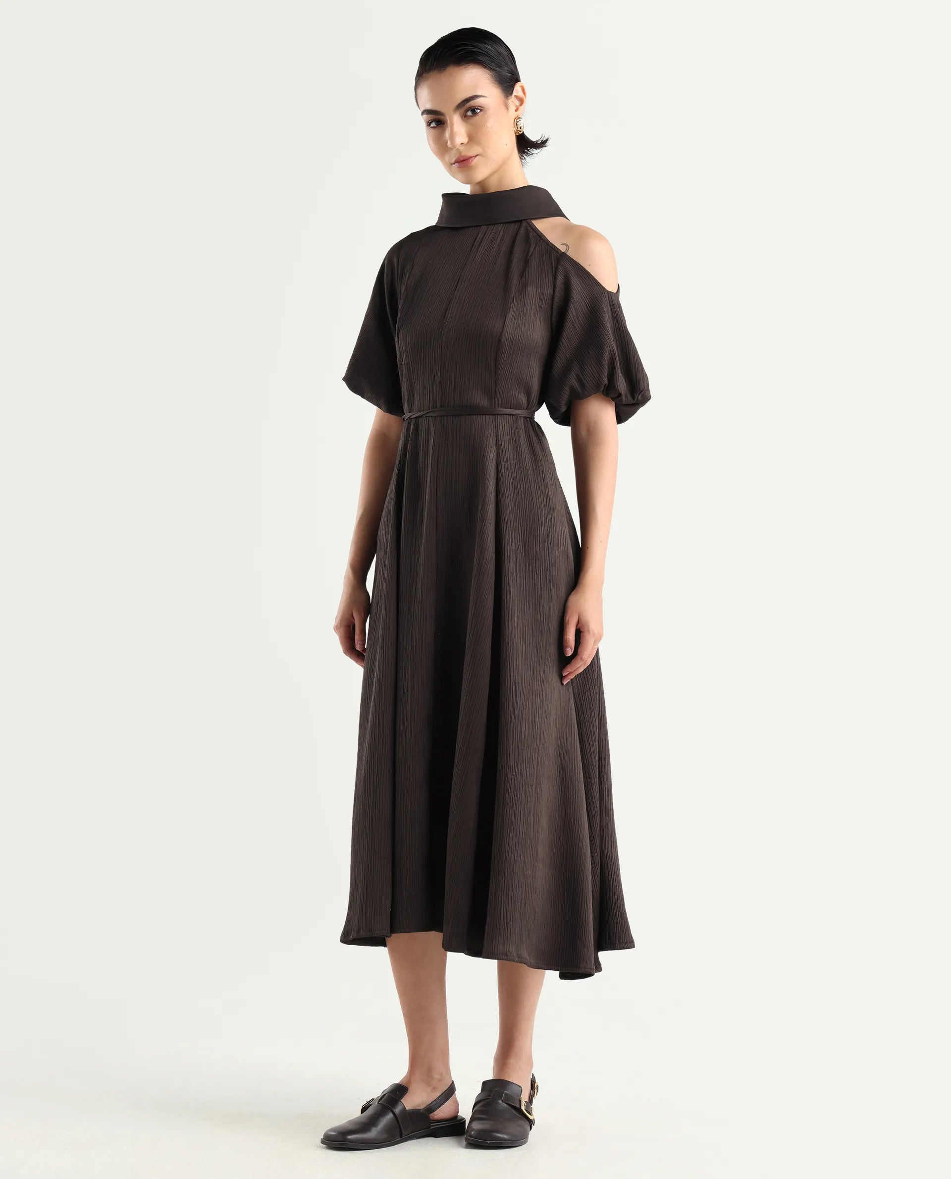 Rareism Women's Duchy Brown Polyester Turtle Neck Plain Balloon Sleeve Midi Flared Dress