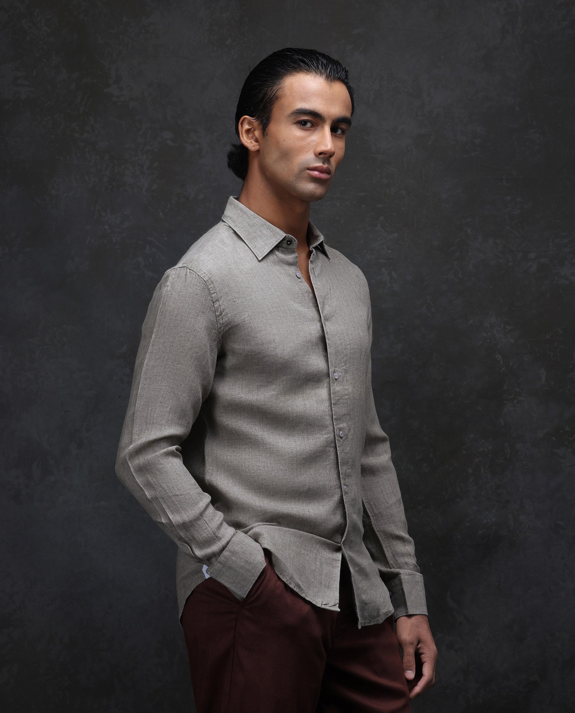 Rare Rabbit Men's Dalin Beige 100% Linen Plain Regular Fit Full Sleeve Collared Shirt