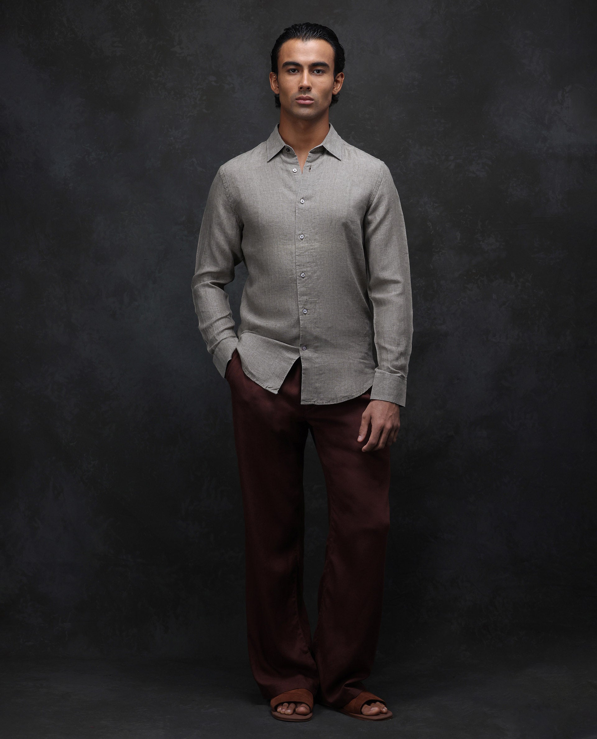 Rare Rabbit Men's Dalin Beige 100% Linen Plain Regular Fit Full Sleeve Collared Shirt