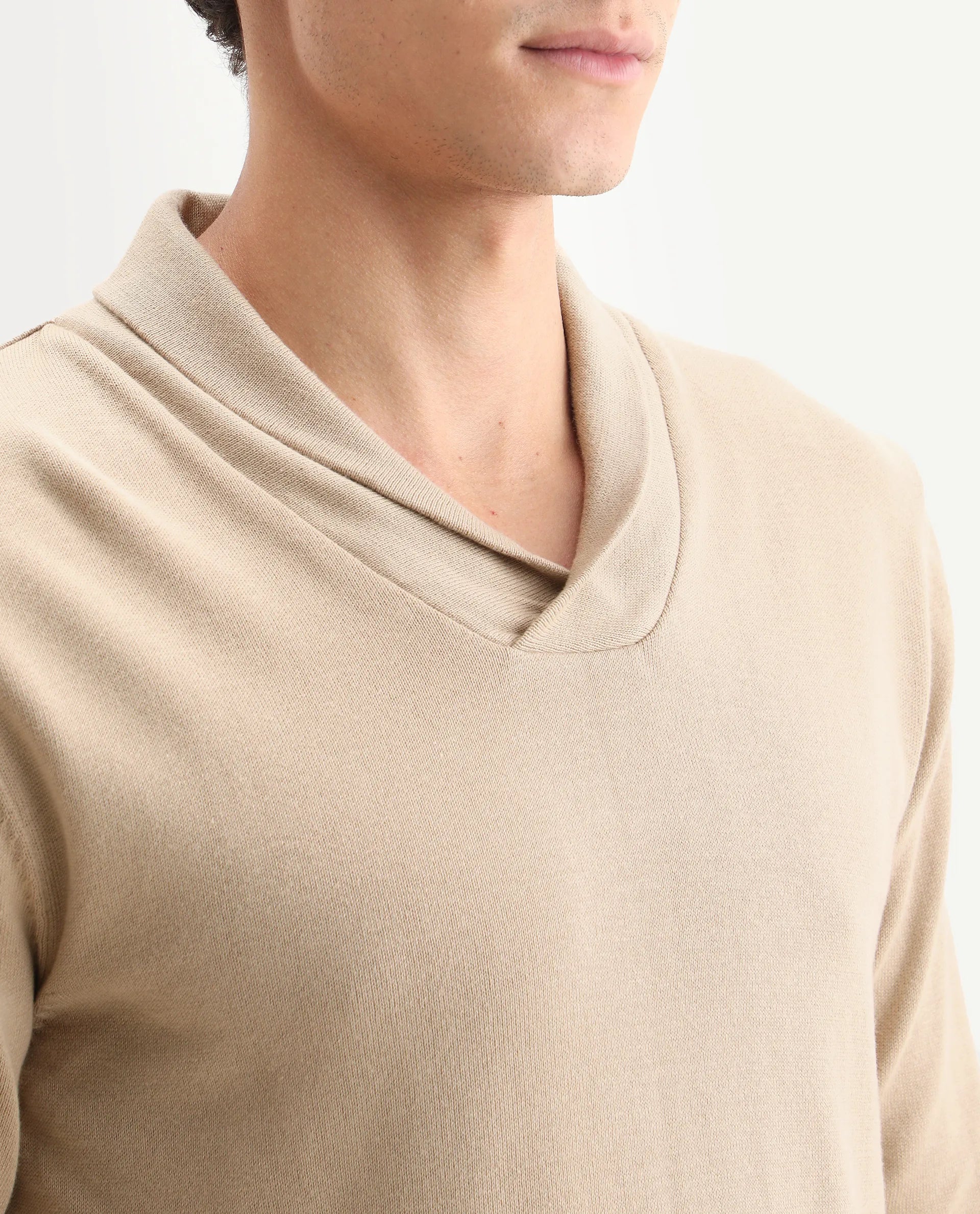 Rare Rabbit Men's Kenlay Beige Cotton Blend Plain Regular Fit Full Sleeve High Neck Sweater
