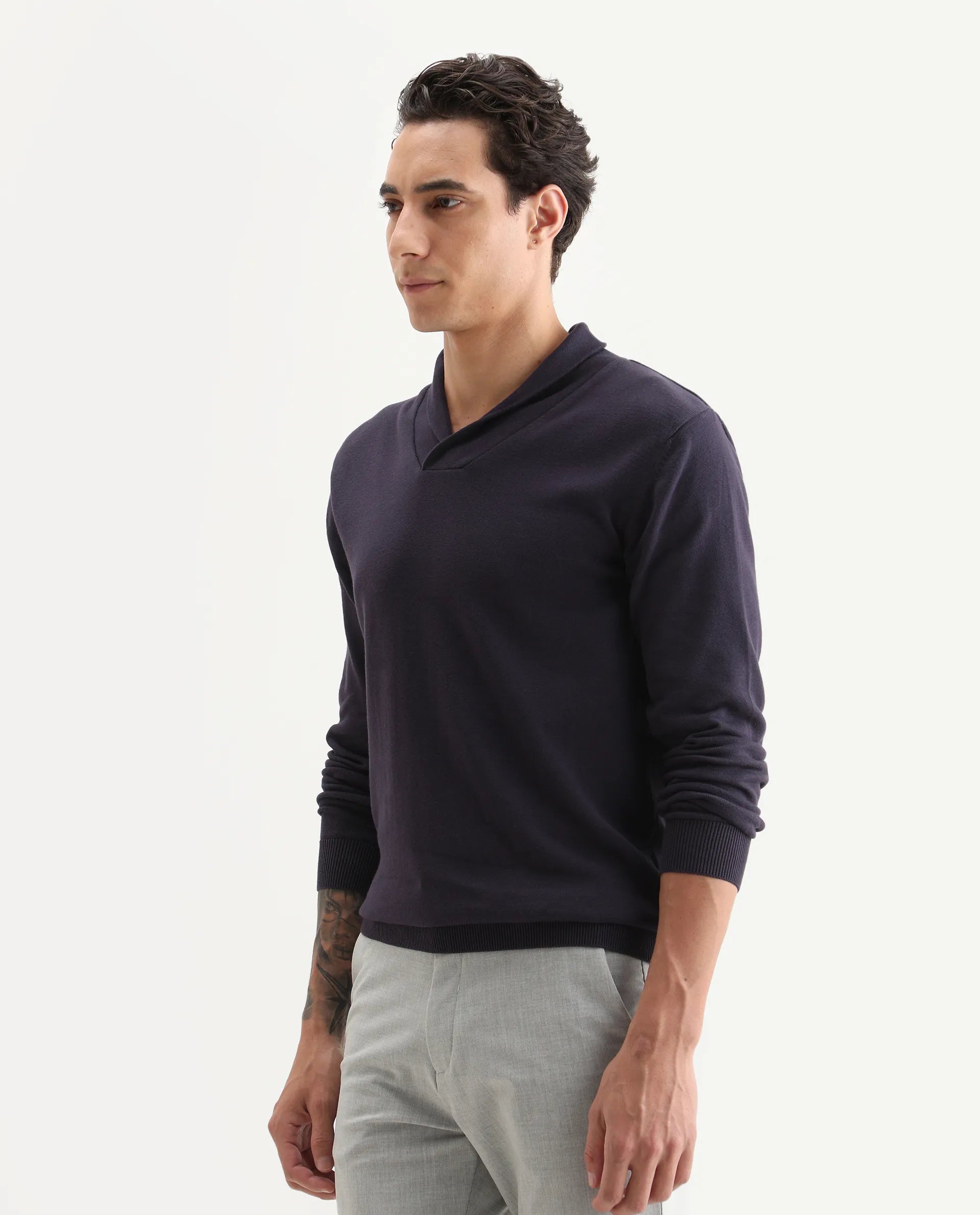 Rare Rabbit Men's Kenlay Dark Purple Cotton Blend Plain Regular Fit Full Sleeve High Neck Sweater