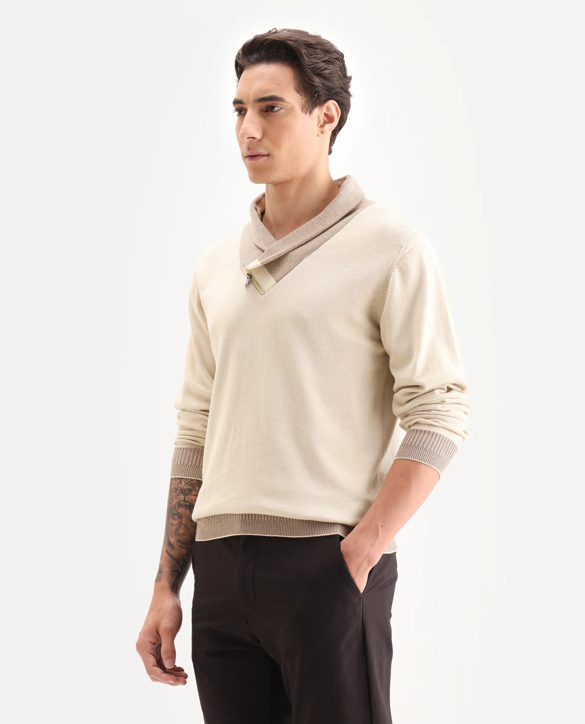 Rare Rabbit Men's Lyzo Beige Cotton Plain Regular Fit Full Sleeve Cowl Neck Sweater