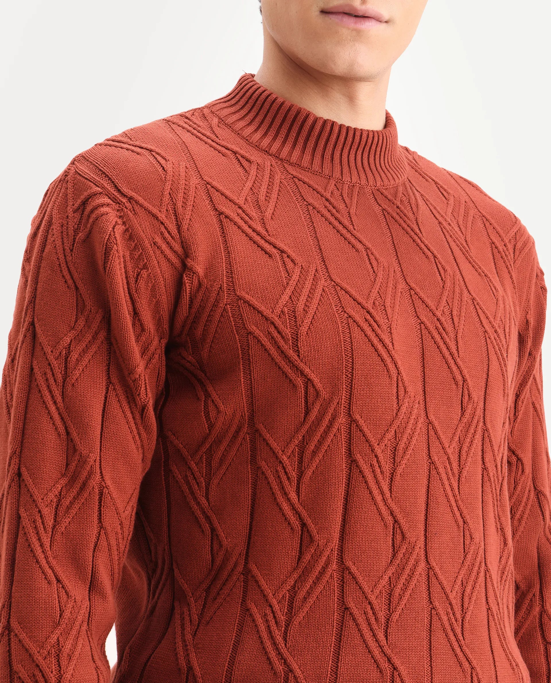 Rare Rabbit Men's Caloz Rust Cotton Textured Regular Fit Full Sleeve High Neck Sweater