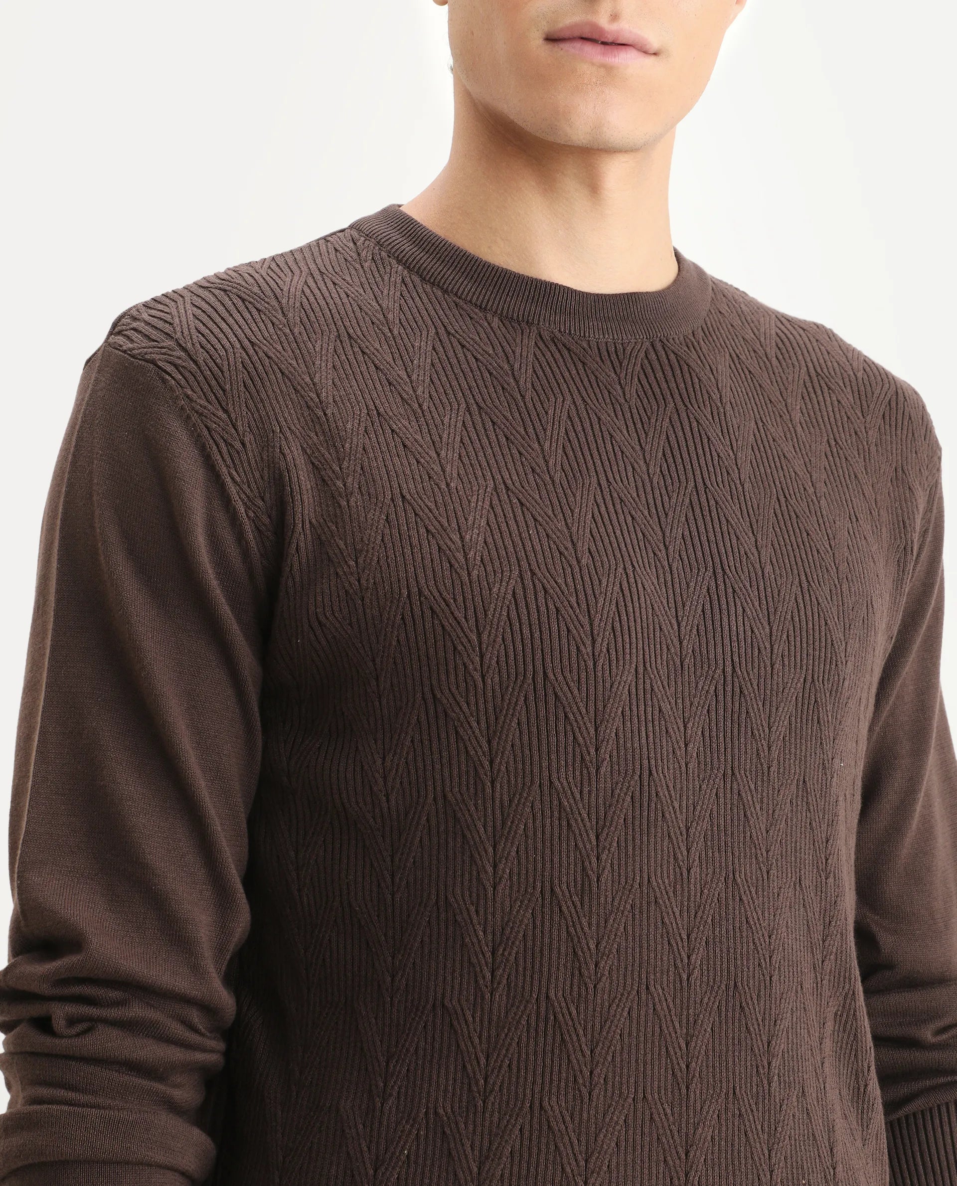 Rare Rabbit Men's Orito Brown Cotton Plain Regular Fit Full Sleeve Crew Neck Sweater