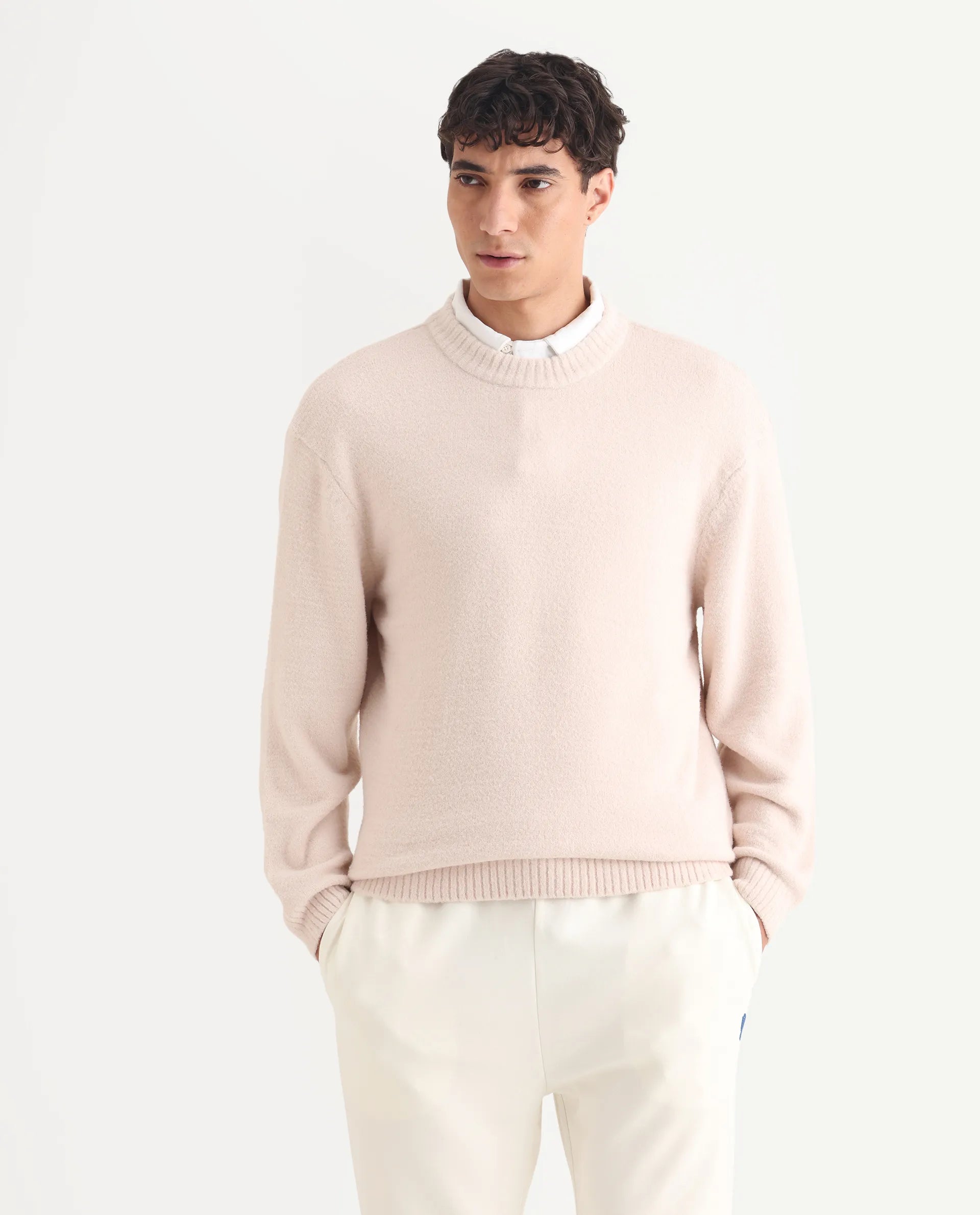 Rare Rabbit Men's Zeo-1 Beige Nylon Plain Regular Fit Full Sleeve Crew Neck Sweater