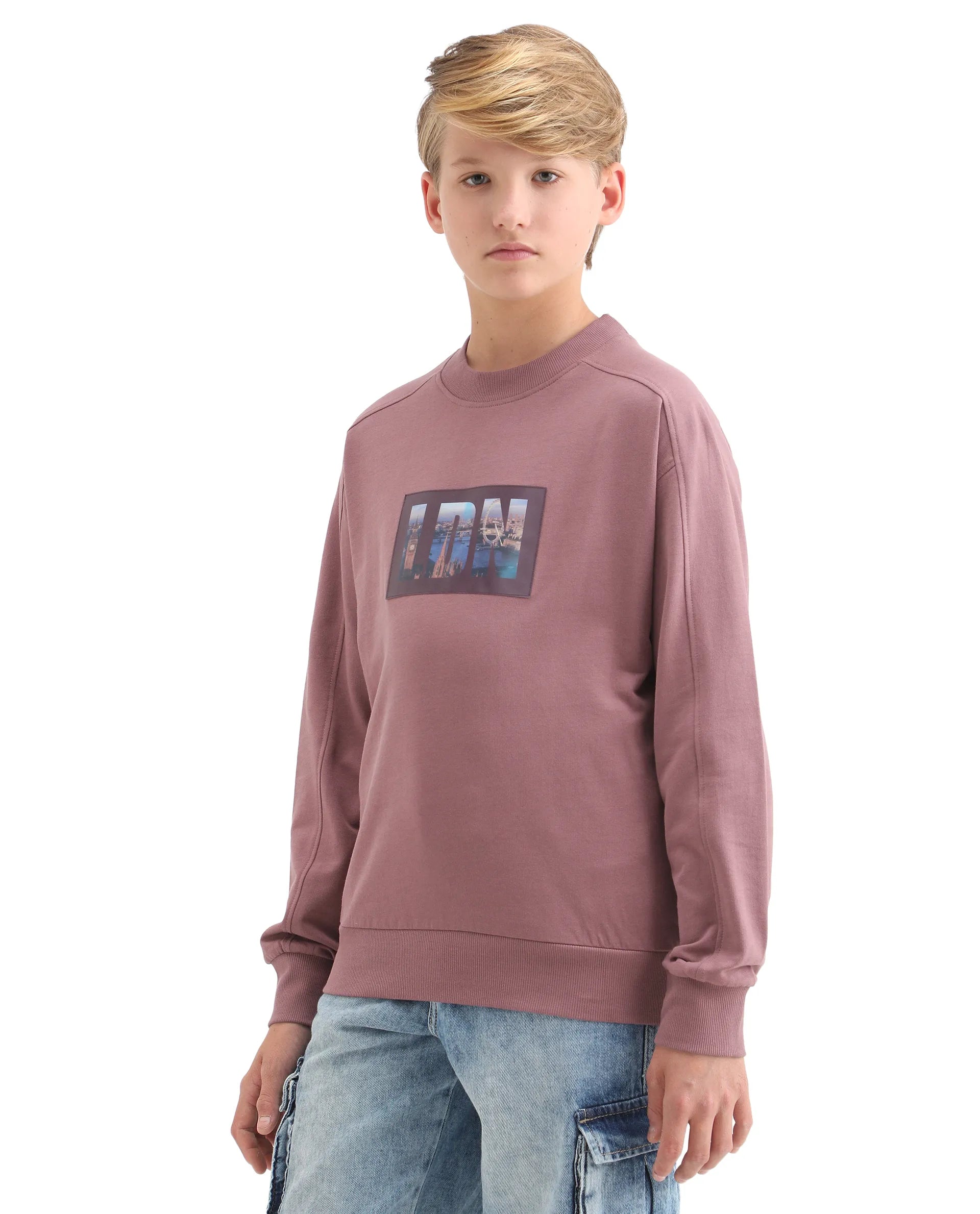 Rare Ones Kids Zayn Dusky Pink Cotton Pull On Crew Neck Full Sleeves Fit Sweatshirt