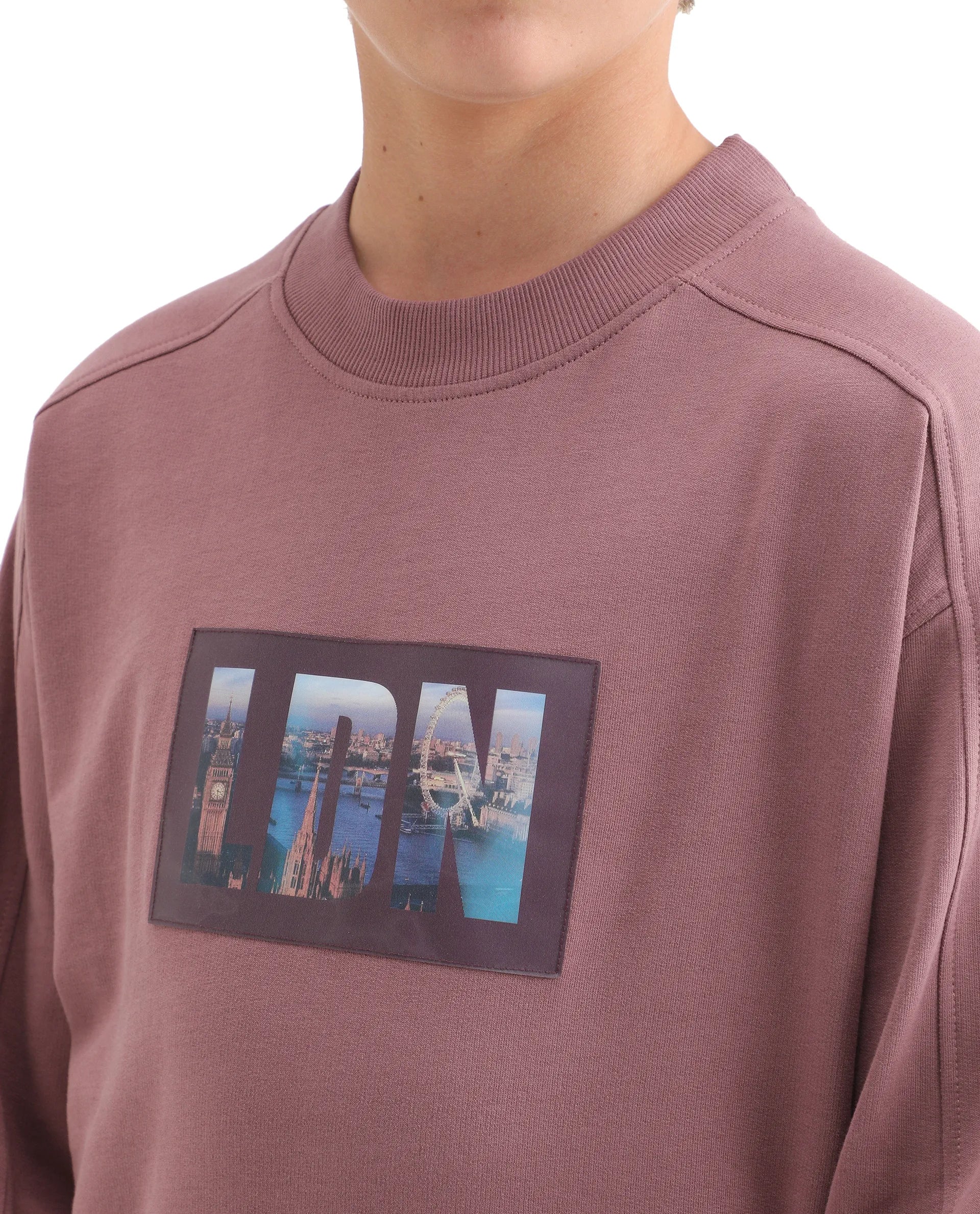 Rare Ones Kids Zayn Dusky Pink Cotton Pull On Crew Neck Full Sleeves Fit Sweatshirt