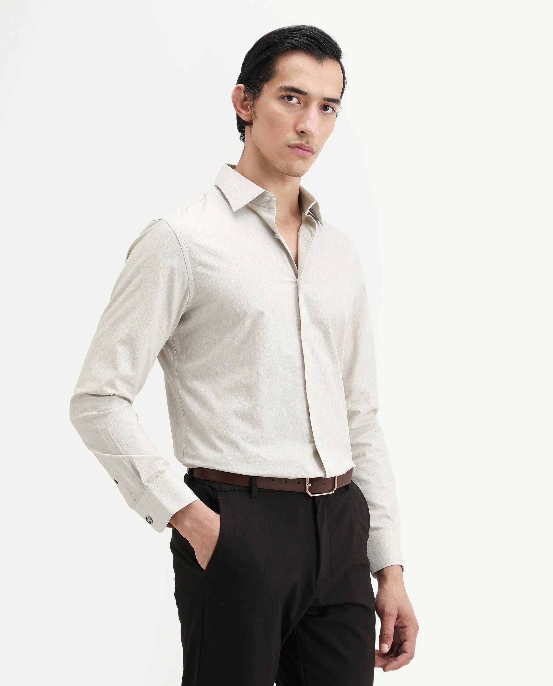 Rare Rabbit Men's Plib Beige Cotton Jacquard Regular Fit Full Sleeve Collared Shirt