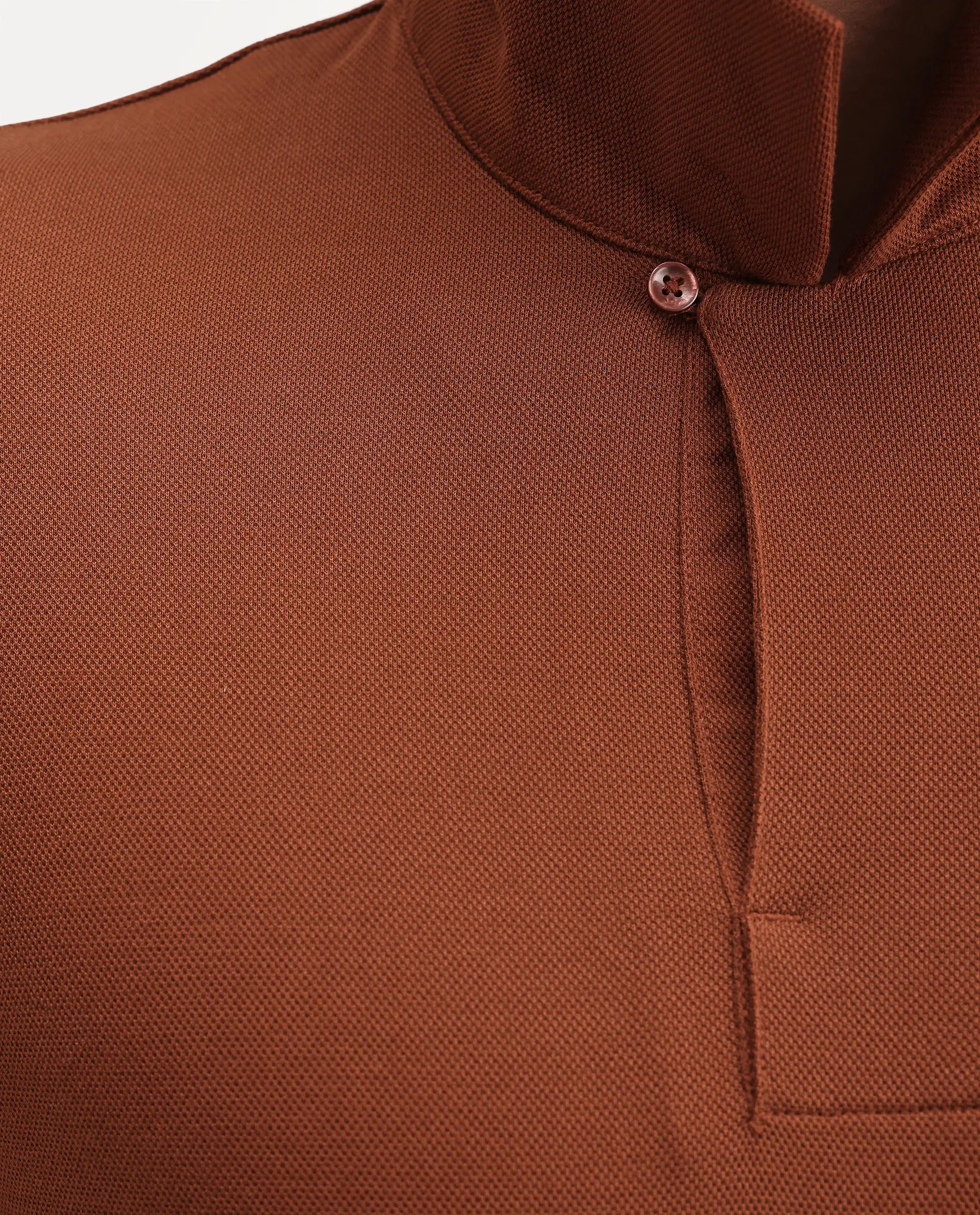 Rare Rabbit Men's Mers Rust Cotton Fabric Half Sleeve Spread Collar Regular Fit Plain Polo