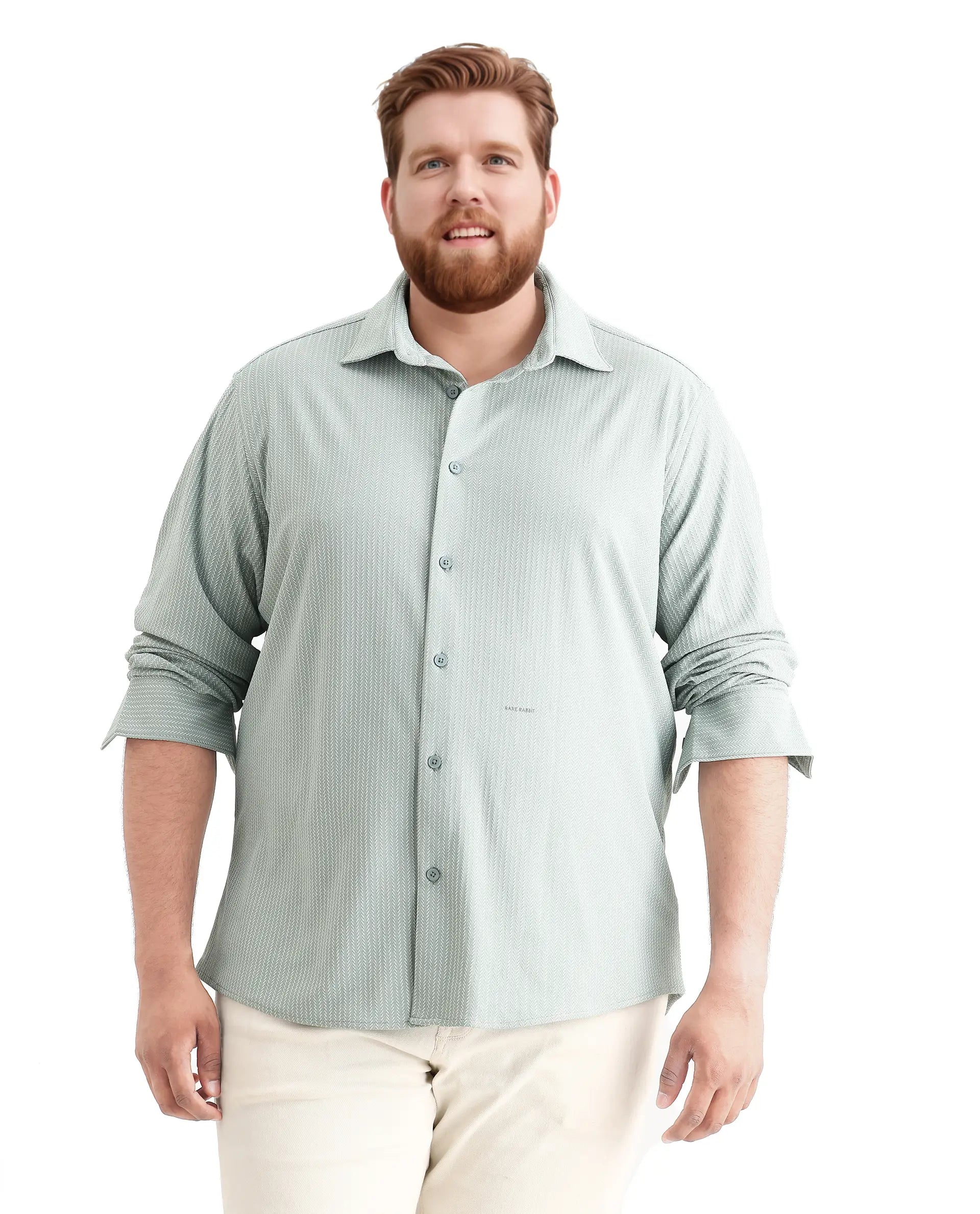 Rare Rabbit Men's Exclop Pastel Green Cotton Fabric Full Sleeves Collared Neck Button Closure Striped Shirt