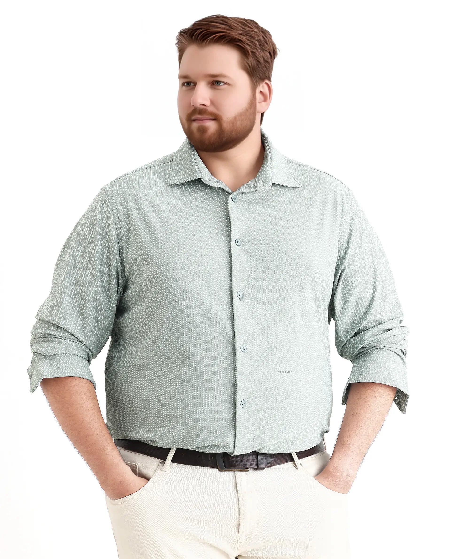 Rare Rabbit Men's Exclop Pastel Green Cotton Fabric Full Sleeves Collared Neck Button Closure Striped Shirt