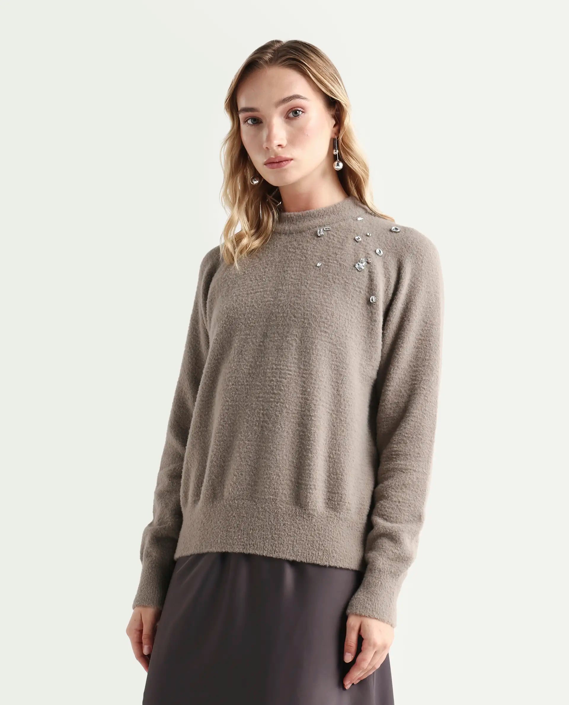 Rareism Women's Jade Dark Beige Nylon Crew Neck Relaxed Fit Sweater