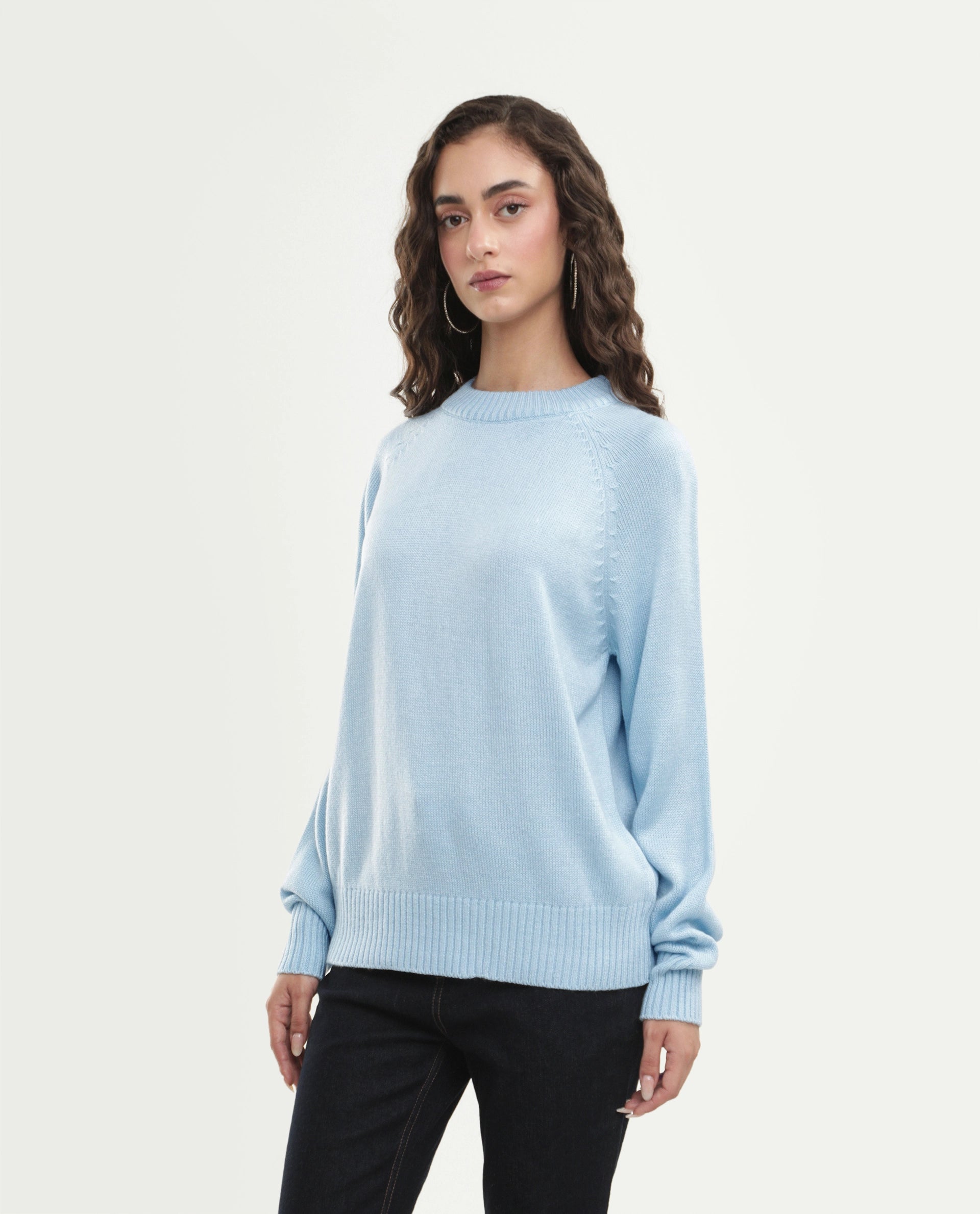 Rareism Women's Mitso Pastel Blue Acrylic Crew Neck Relaxed Fit Plain Sweater