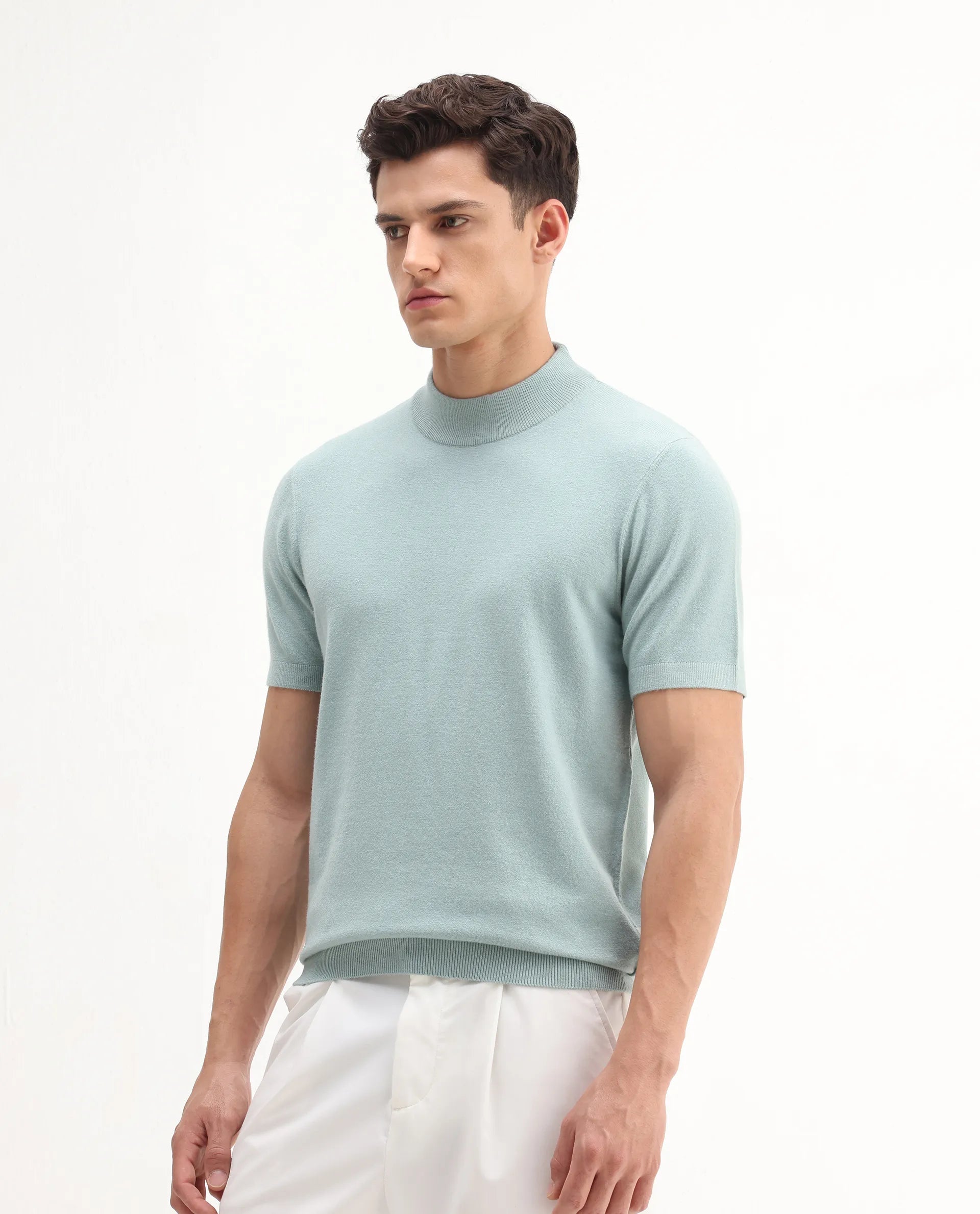 Rare Rabbit Men's Alfet-25 Dusky Green Viscose Plain Regular Fit Half Sleeve High Neck T-Shirt