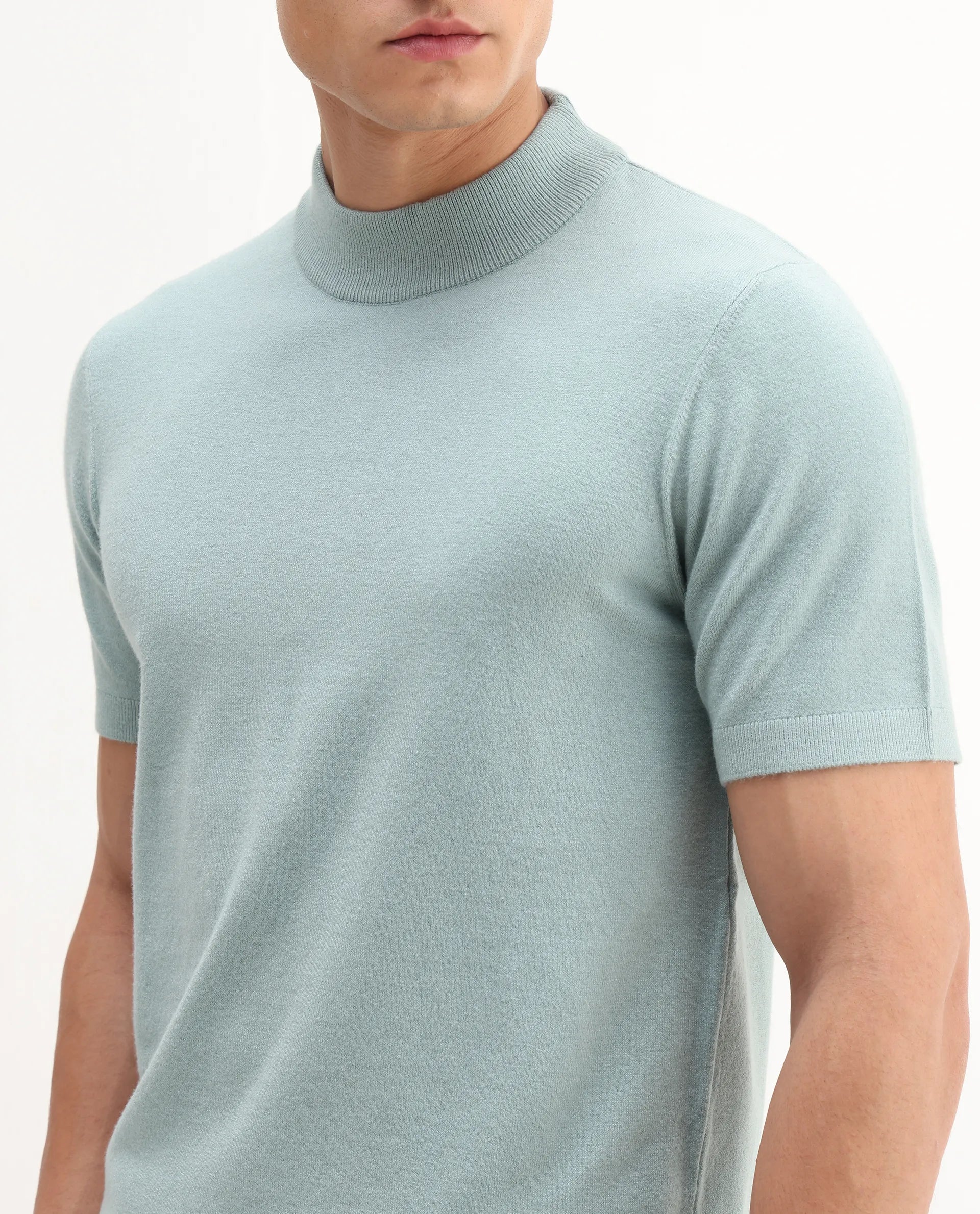 Rare Rabbit Men's Alfet-25 Dusky Green Viscose Plain Regular Fit Half Sleeve High Neck T-Shirt
