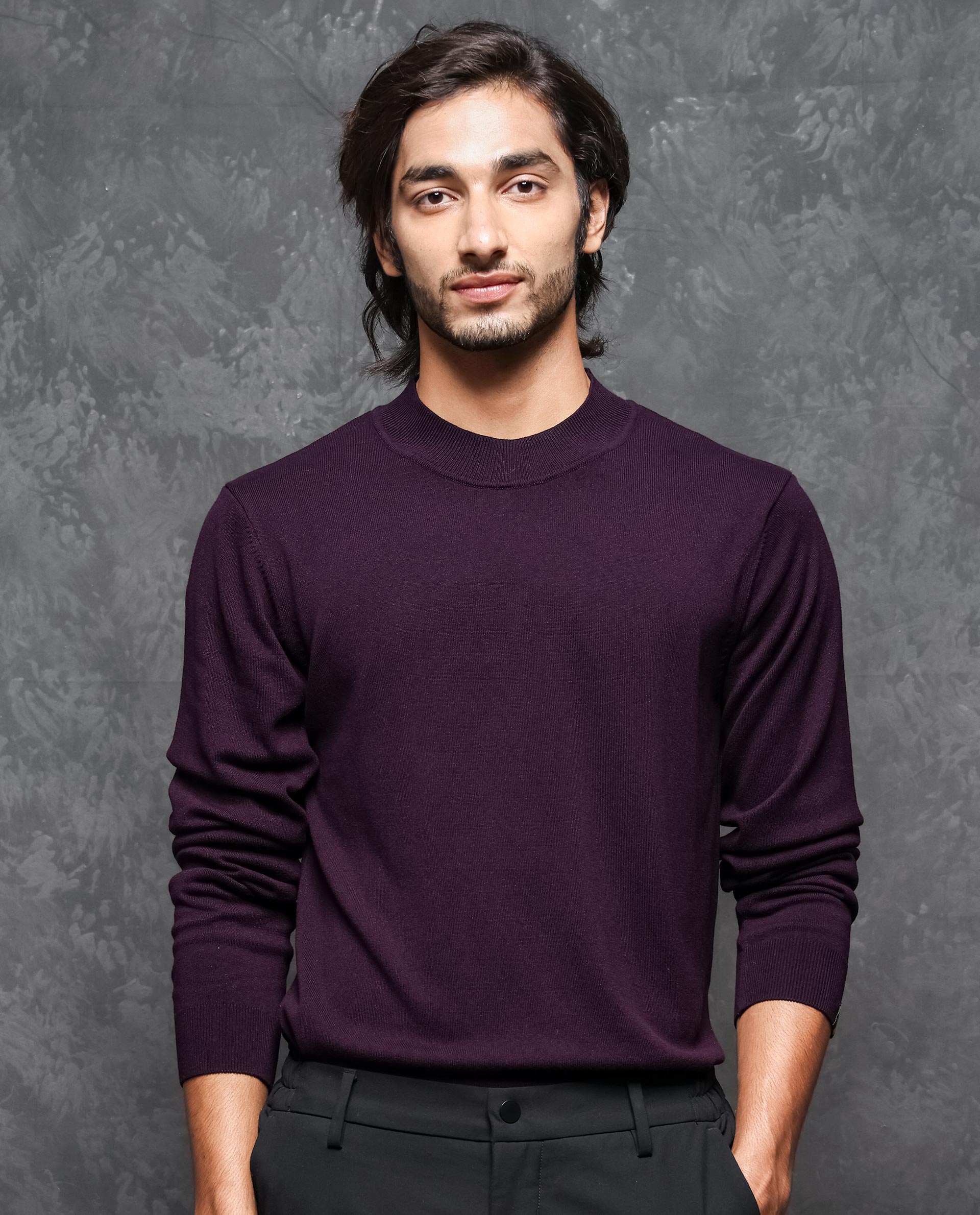 Rare Rabbit Men's Alfo Purple Viscose Plain Slim Fit Full Sleeve High Neck Sweater