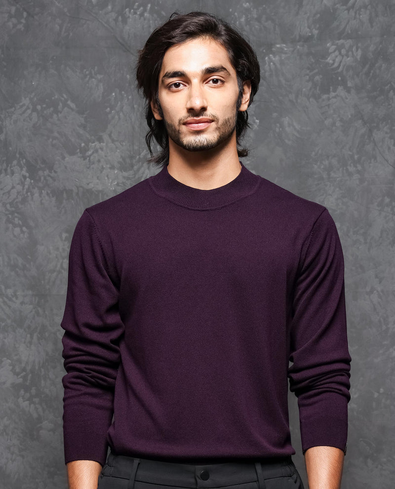 RARE RABBIT MENS ALFO 1 PURPLE SWEATER VISCOSE NYLON FABRIC HIGH NECK KNITTED FULL SLEEVES FITTED