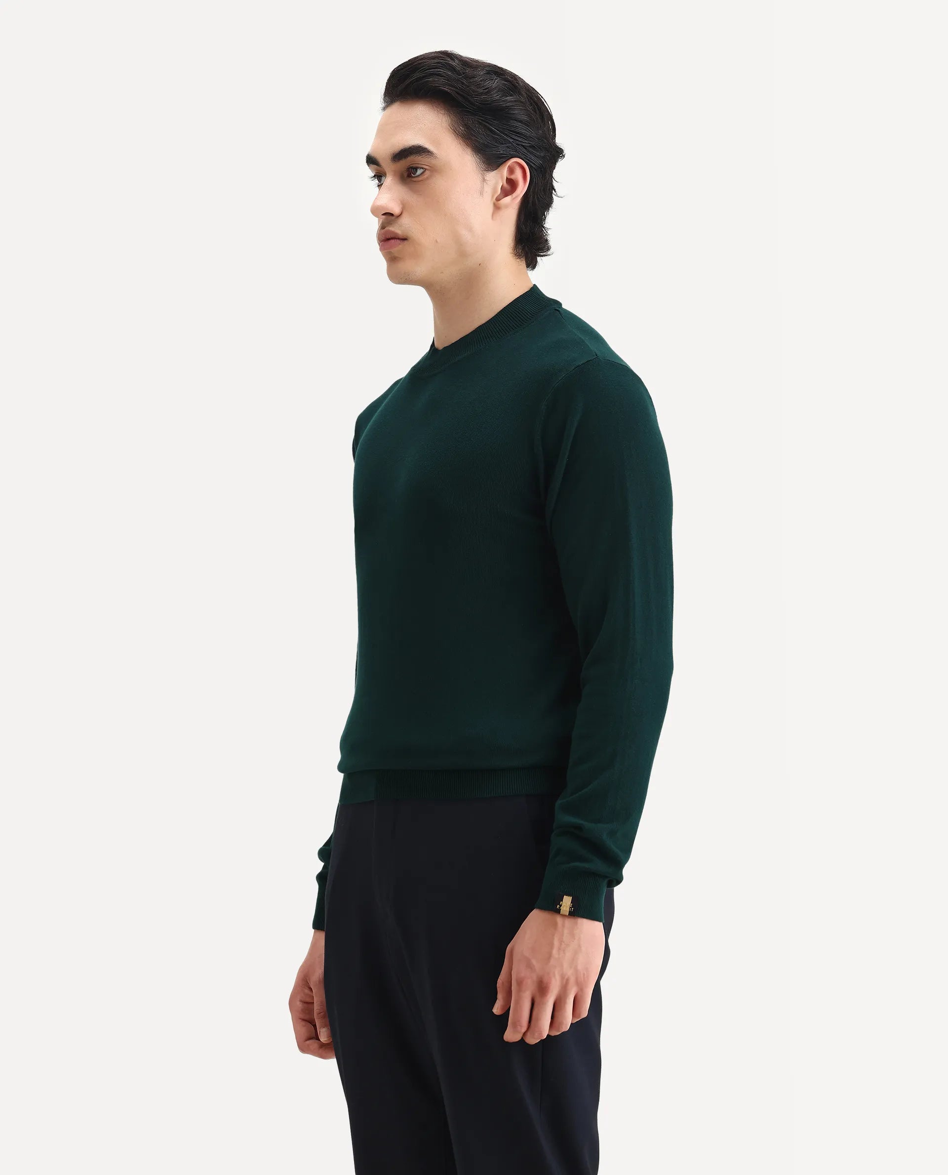 Rare Rabbit Men's Alfo 1 Green Viscose Plain Slim Fit Full Sleeve High Neck Sweater
