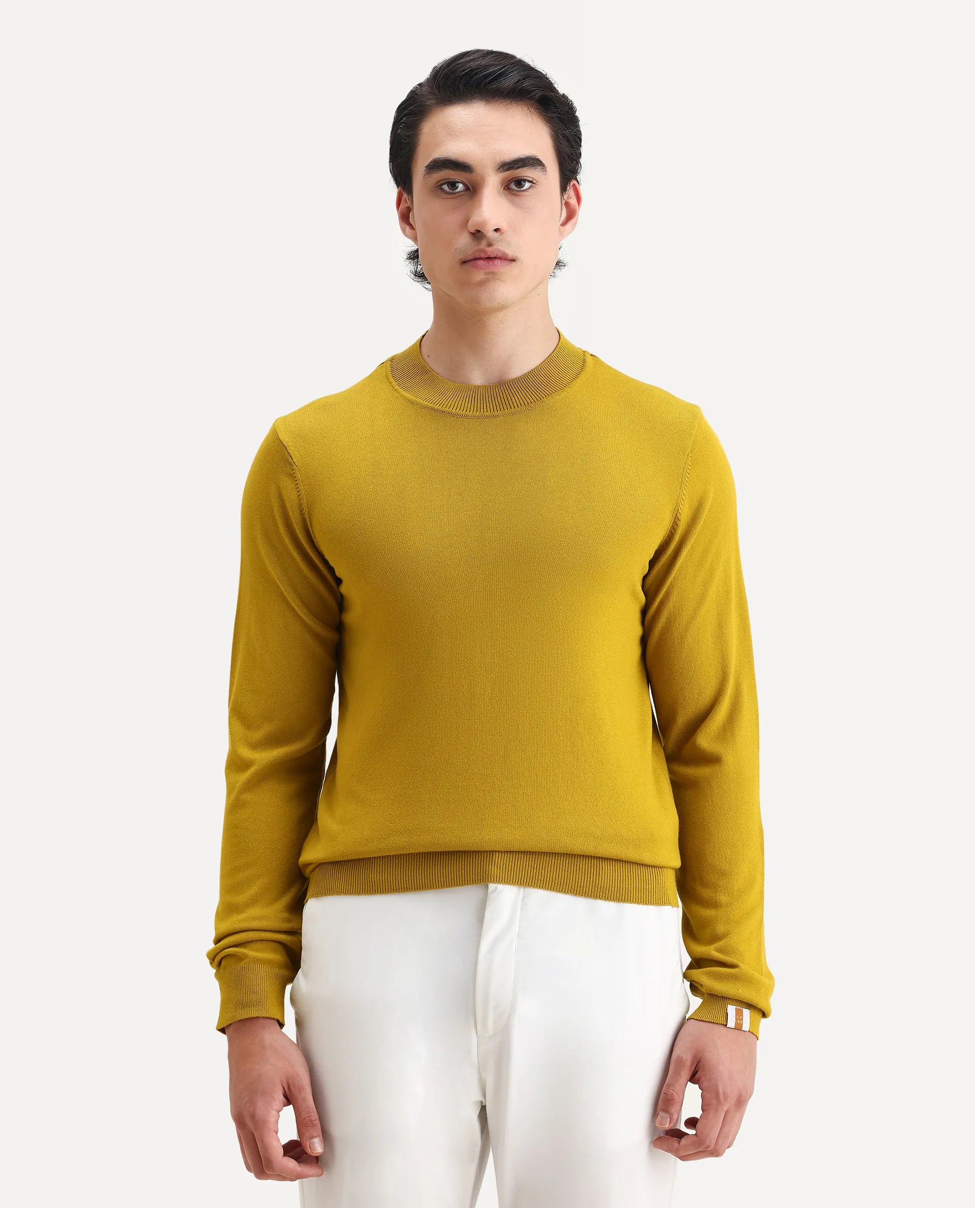 Rare Rabbit Men's Alfo 1 Mustard Viscose Plain Slim Fit Full Sleeve High Neck Sweater
