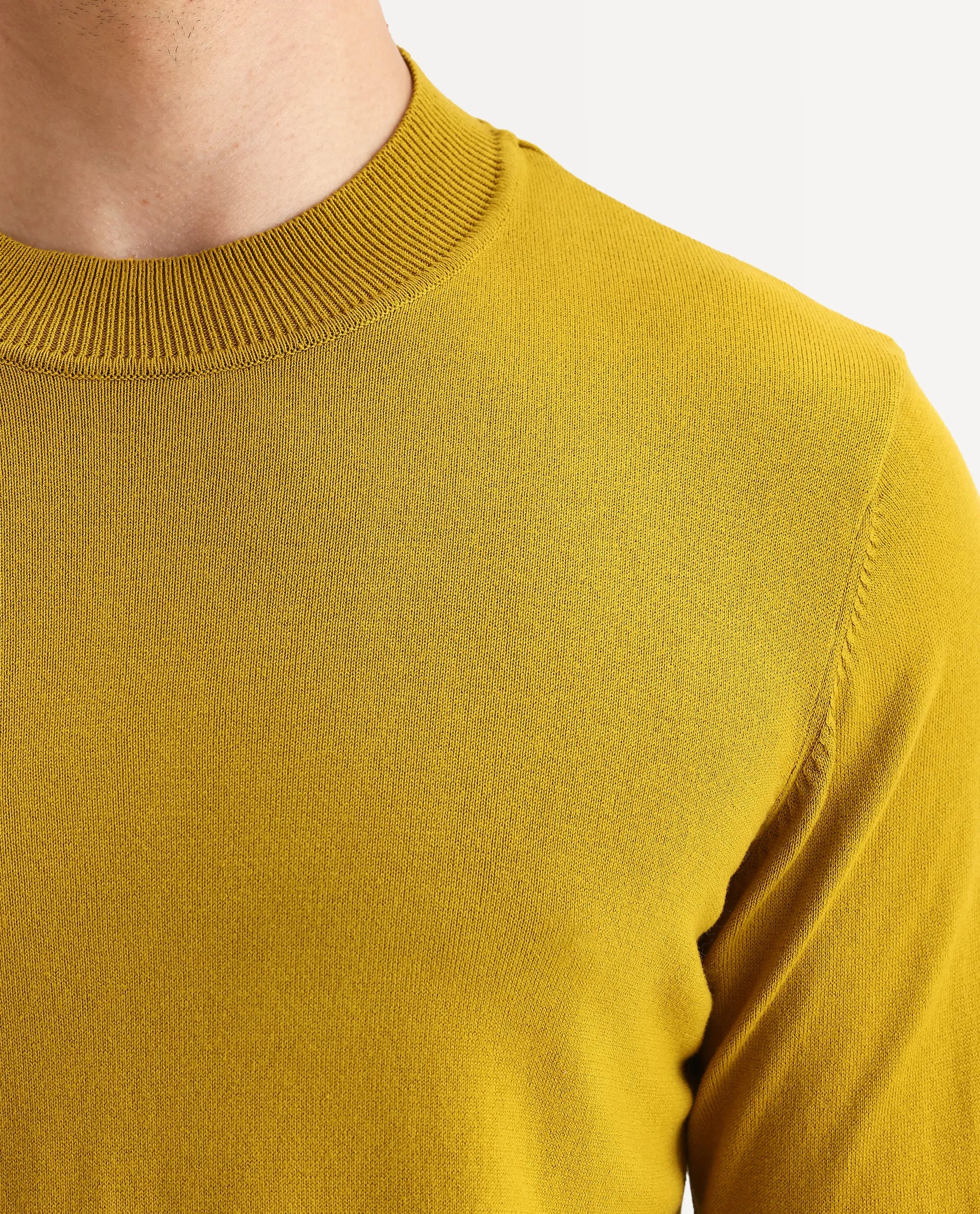 Rare Rabbit Men's Alfo 1 Mustard Viscose Plain Slim Fit Full Sleeve High Neck Sweater