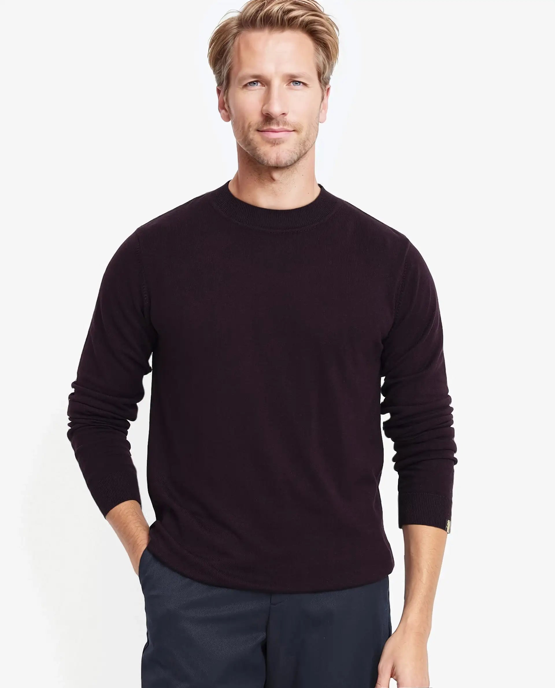Rare Rabbit Men's Alfot Dark Purple Viscose Nylon Fabric Full Sleeve High Neck Regular Fit Plain Sweater