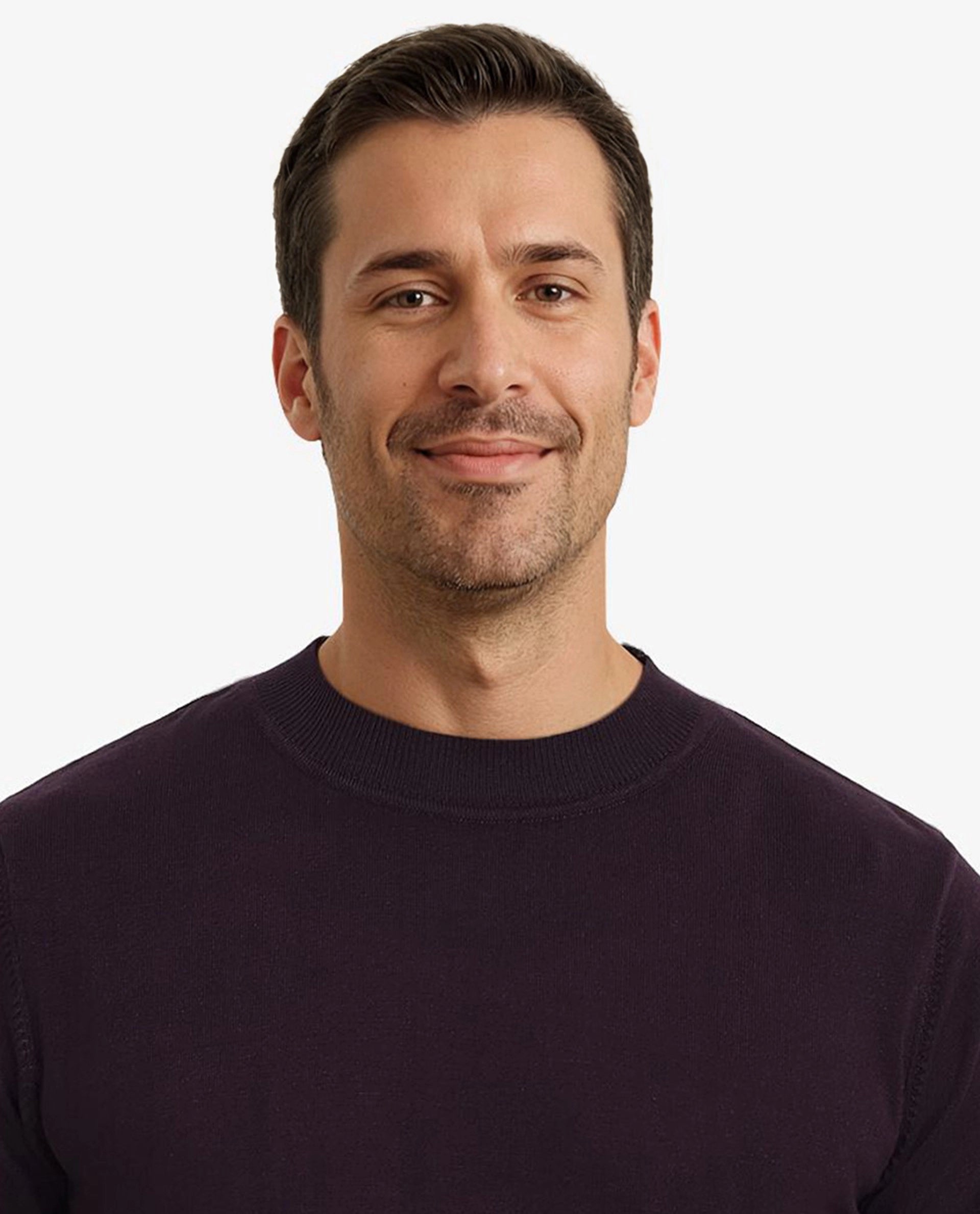 Rare Rabbit Men's Alfot Dark Purple Viscose Nylon Fabric Full Sleeve High Neck Regular Fit Plain Sweater