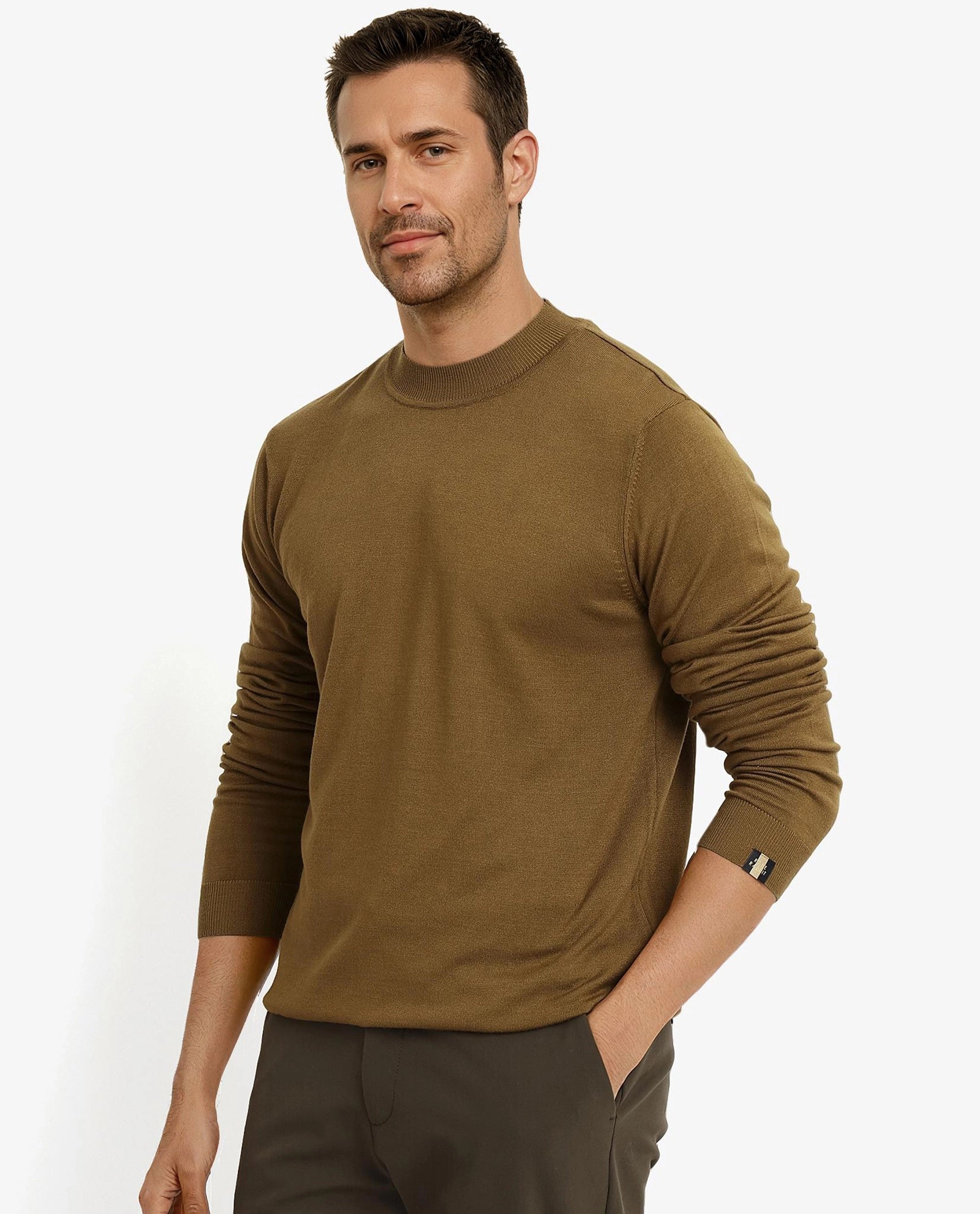 Rare Rabbit Men's Alfot Olive Viscose Nylon Fabric Full Sleeve High Neck Regular Fit Plain Sweater